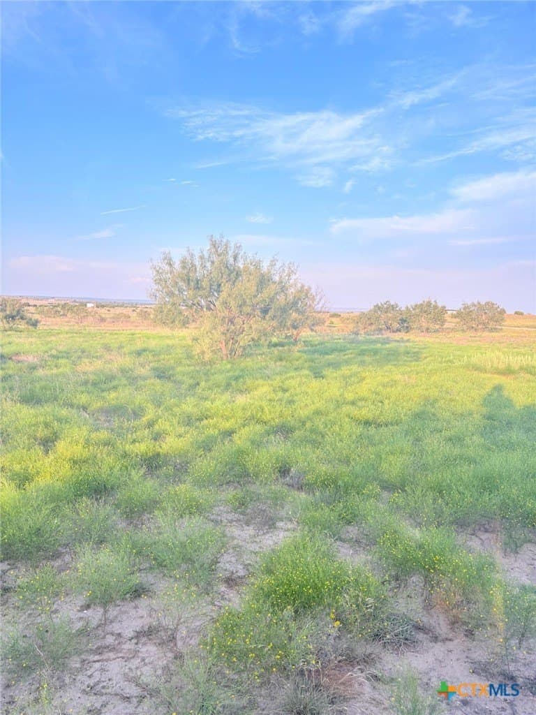 10.13 acres in Lampasas County gallery image 4