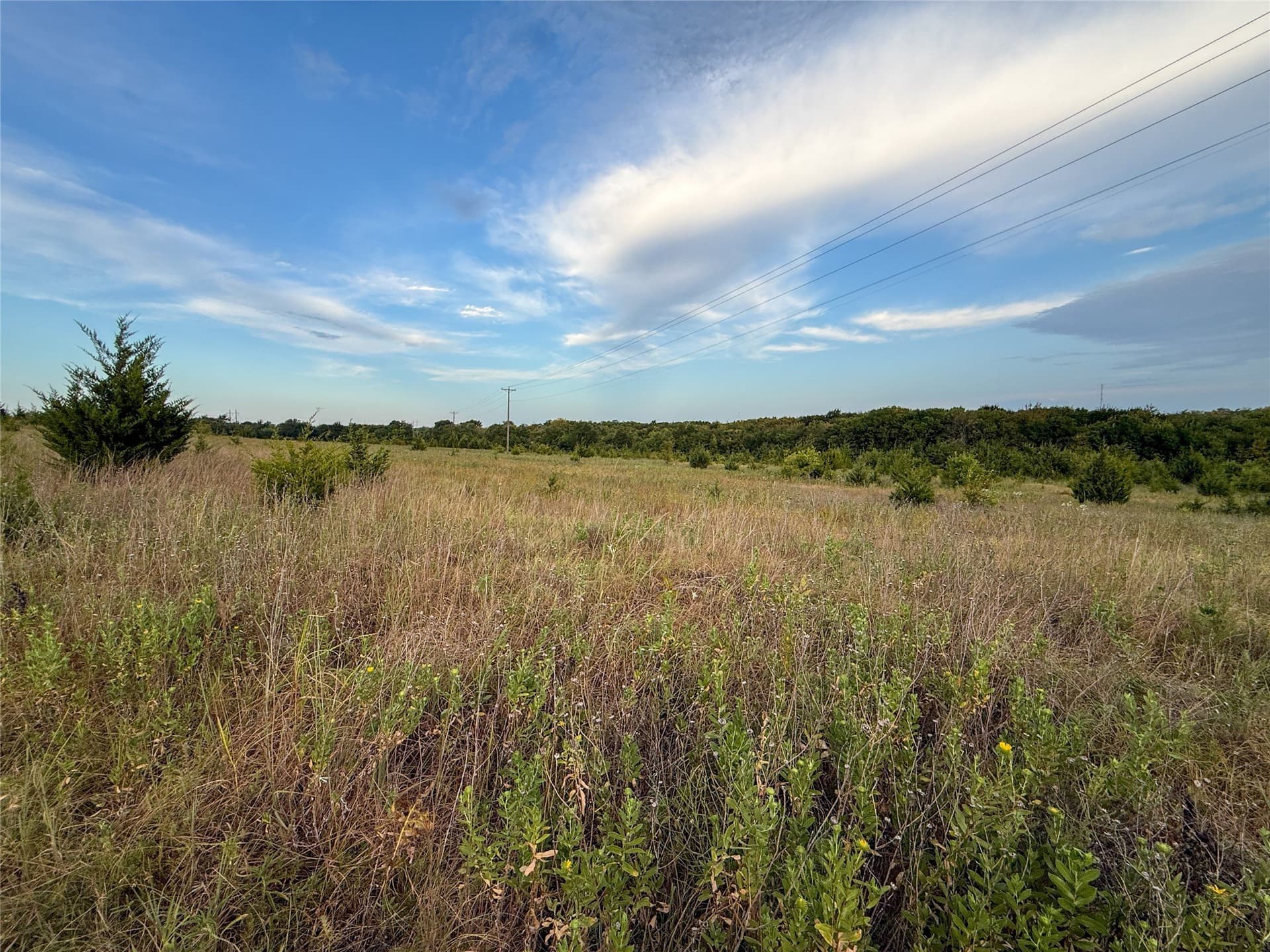21.49 acres in Fannin County - photo 32