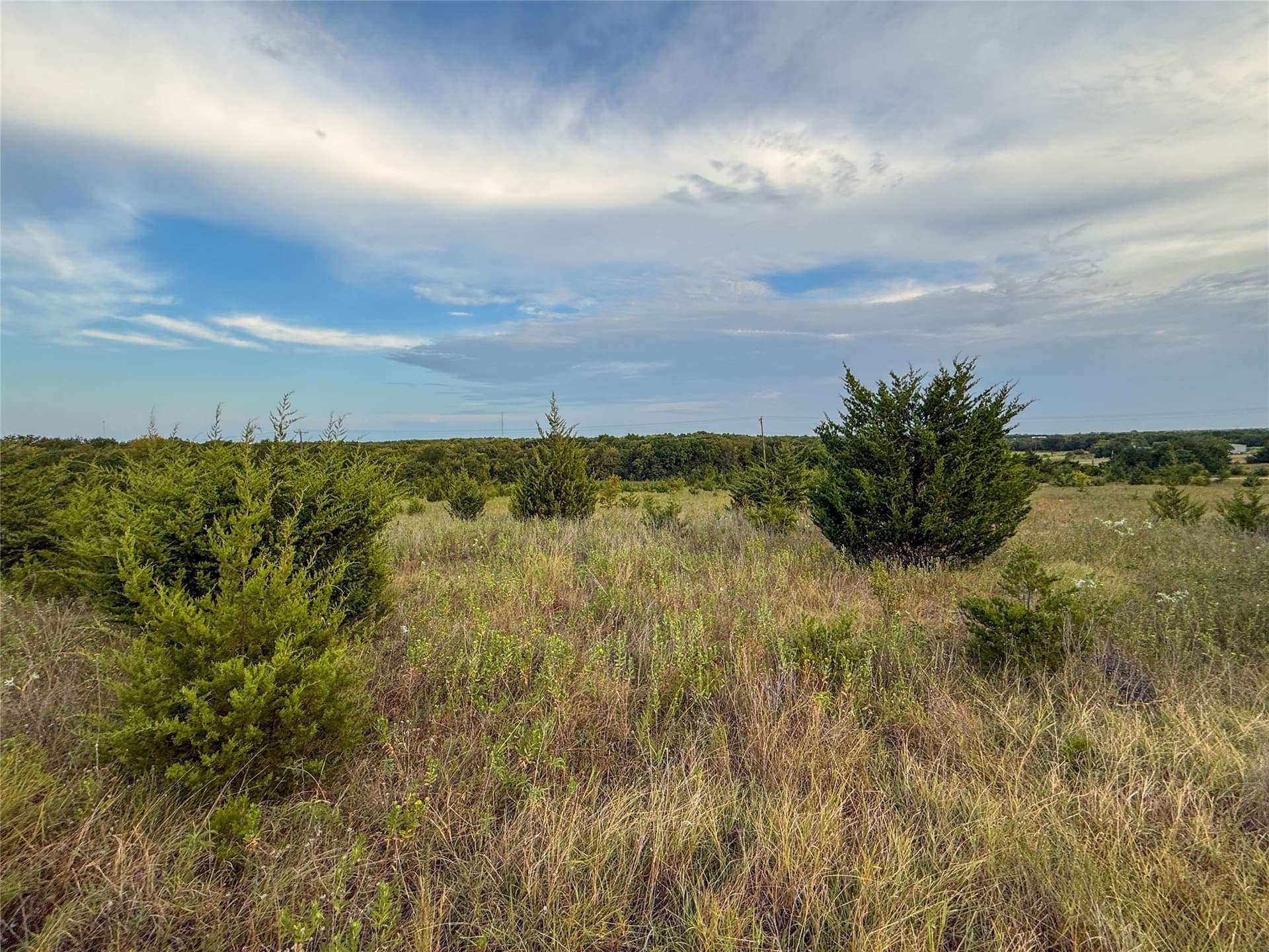 21.49 acres in Fannin County - photo 36