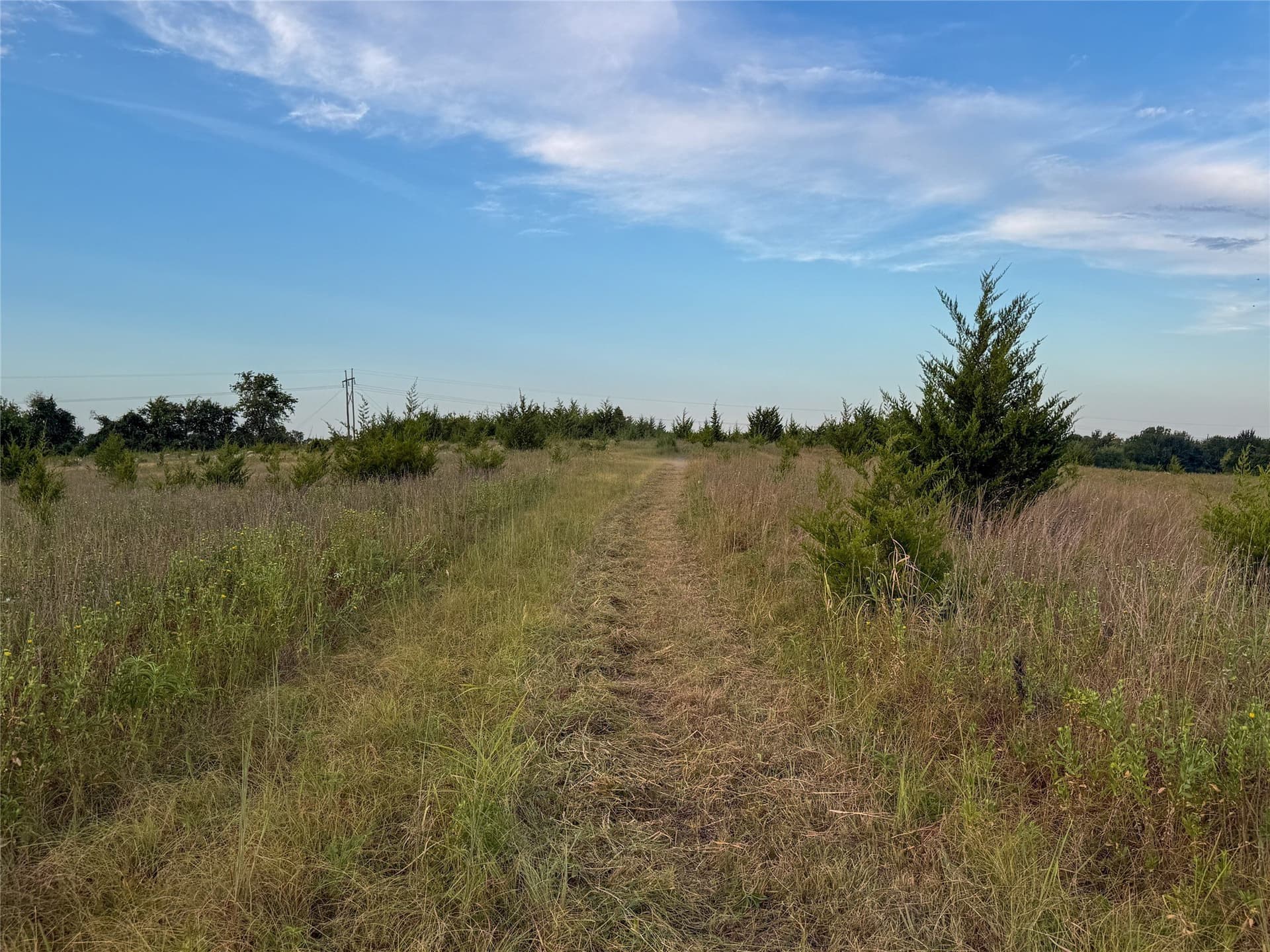 21.49 acres in Fannin County - photo 31