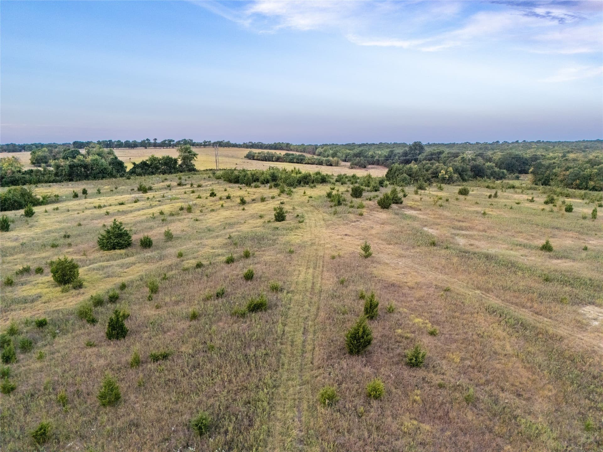 21.49 acres in Fannin County - photo 25