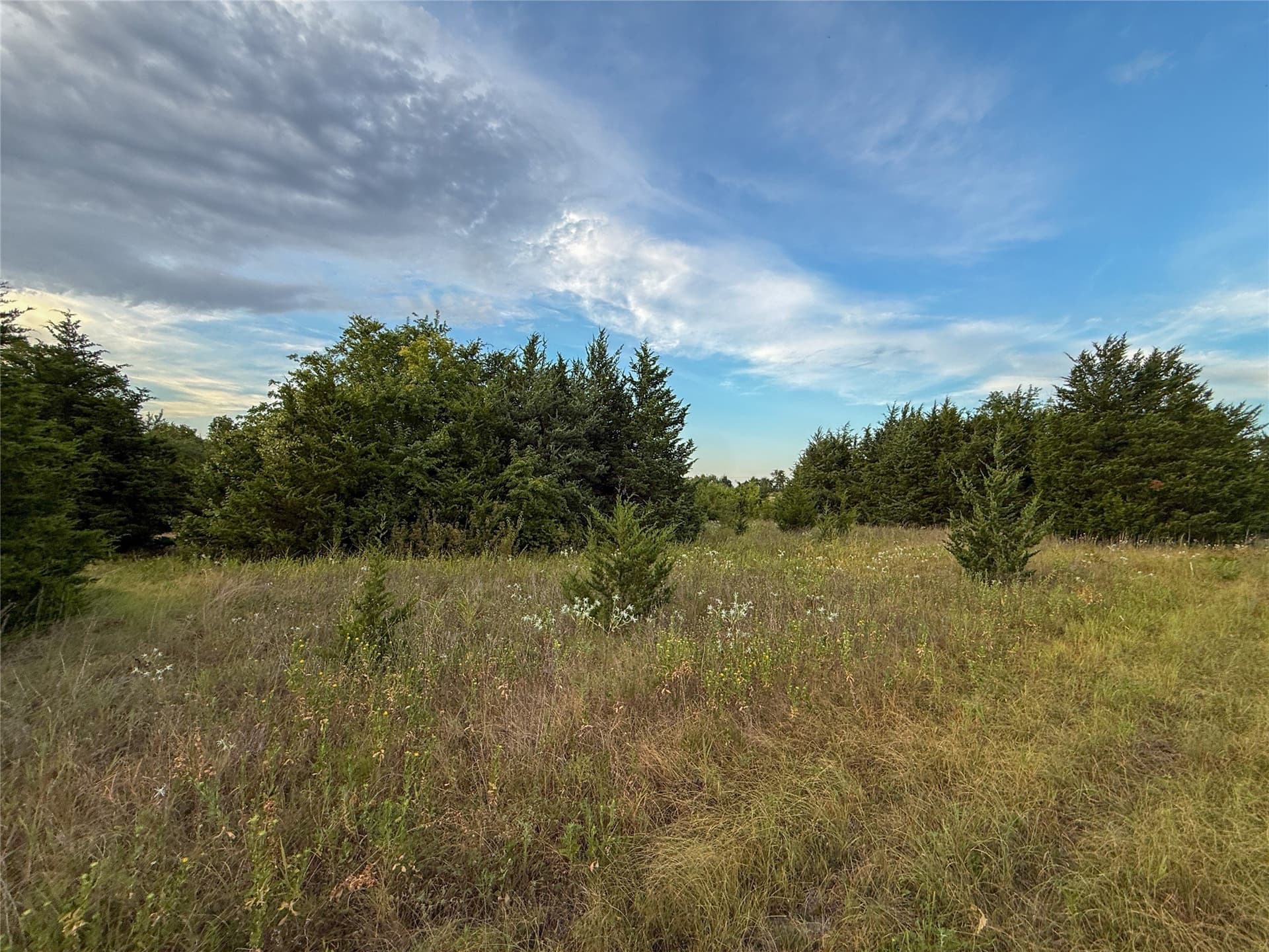 21.49 acres in Fannin County - photo 29