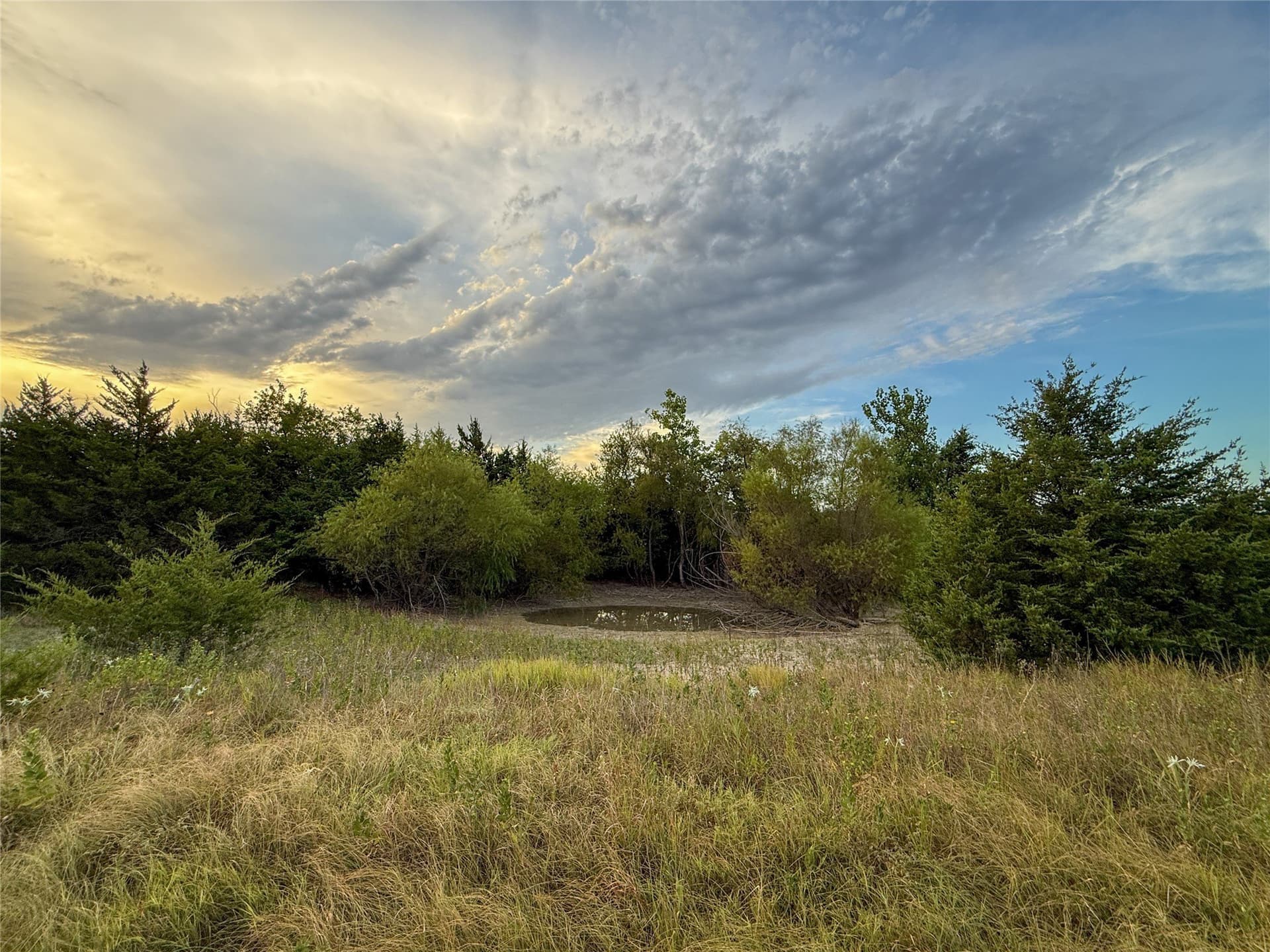 21.49 acres in Fannin County - photo 30