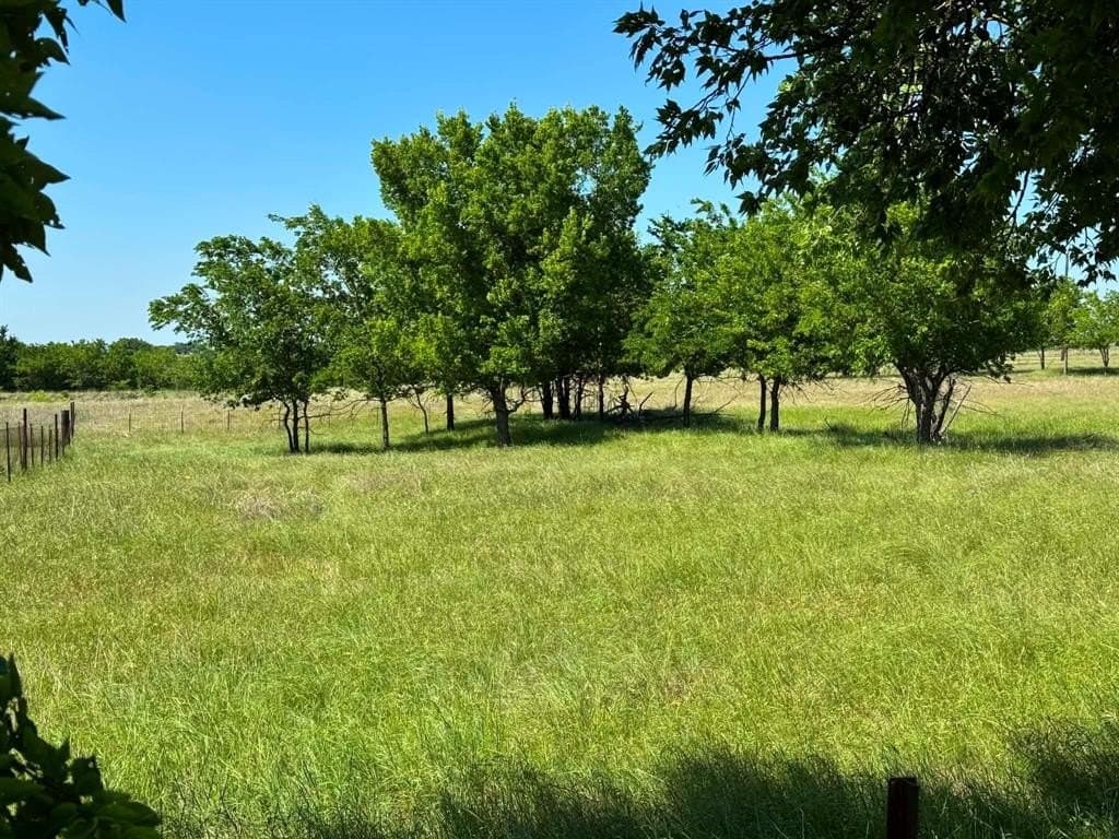 1 acres in Denton County gallery image 2