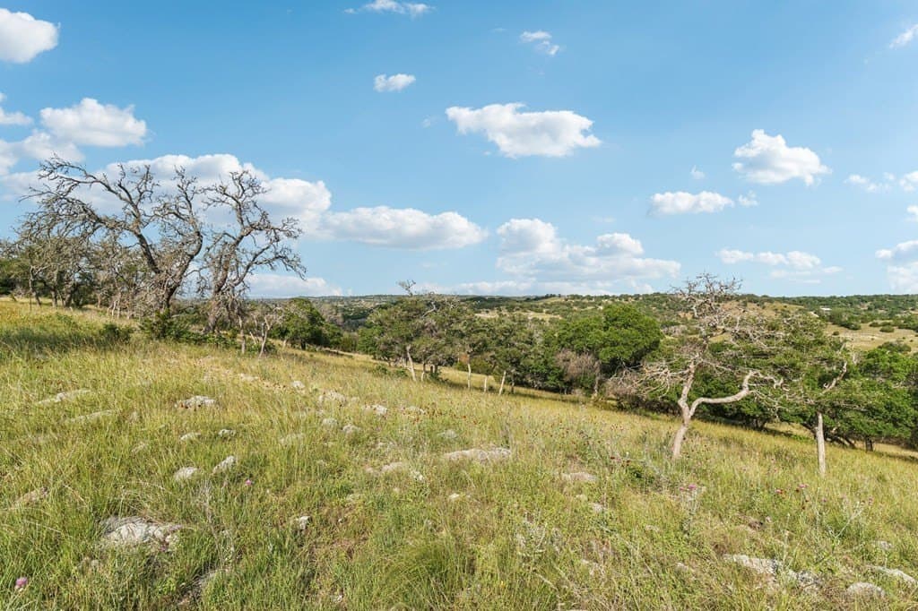 40.81 acres in Gillespie County gallery image 4