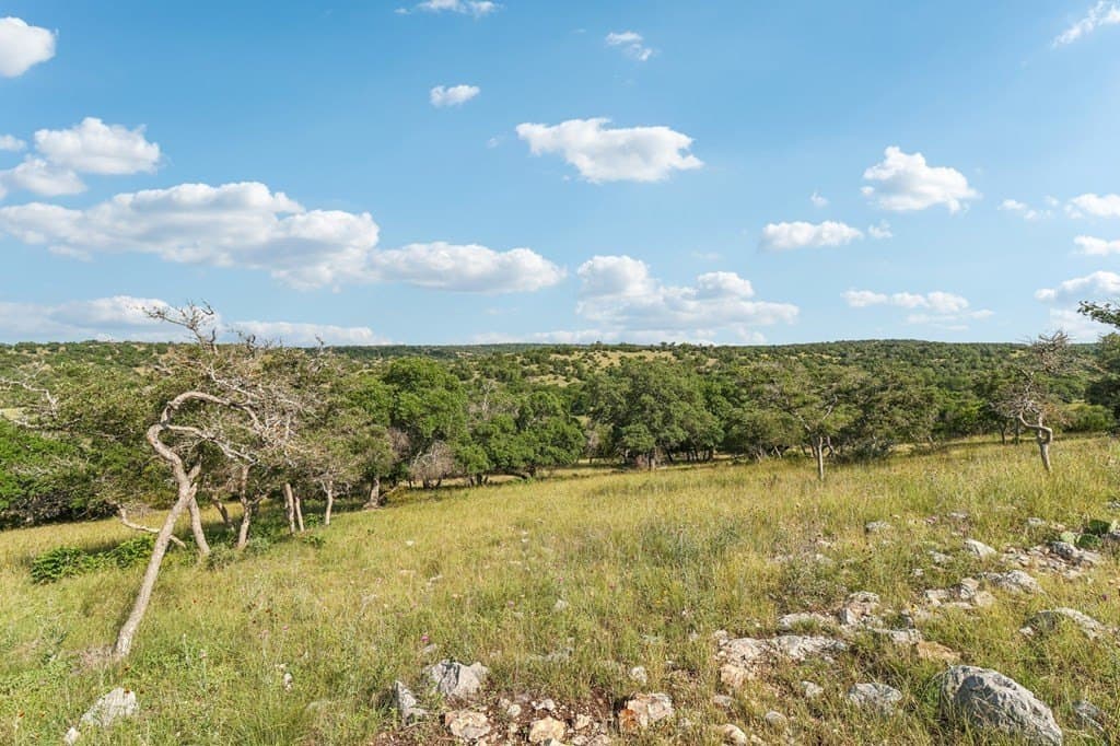 40.81 acres in Gillespie County gallery image 3