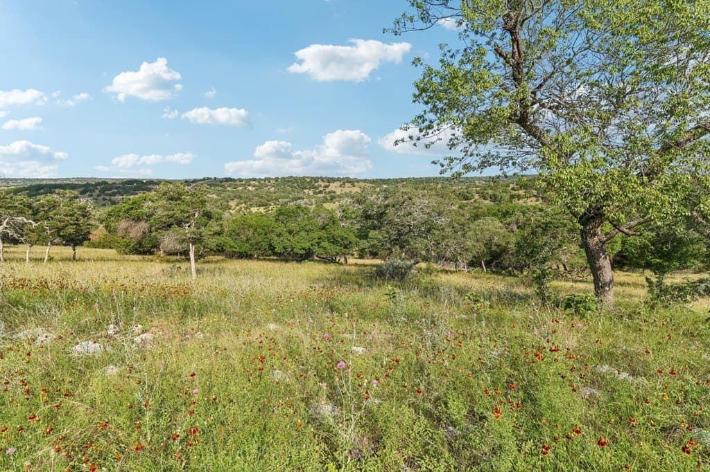 40.81 acres in Gillespie County featured view