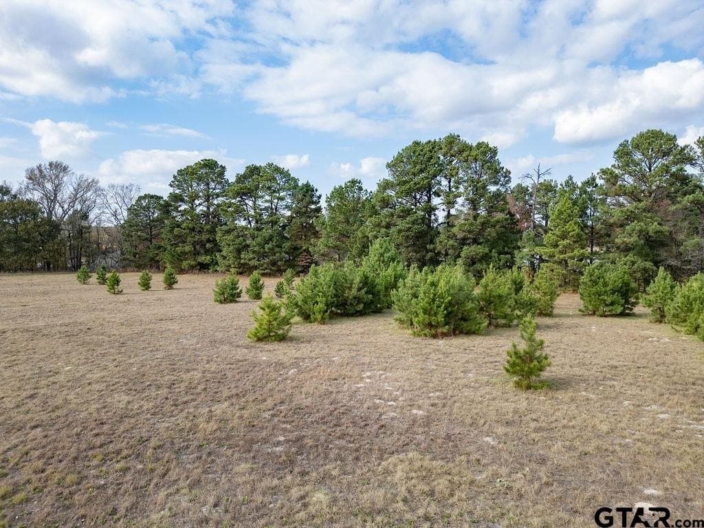 10 acres in Smith County featured view