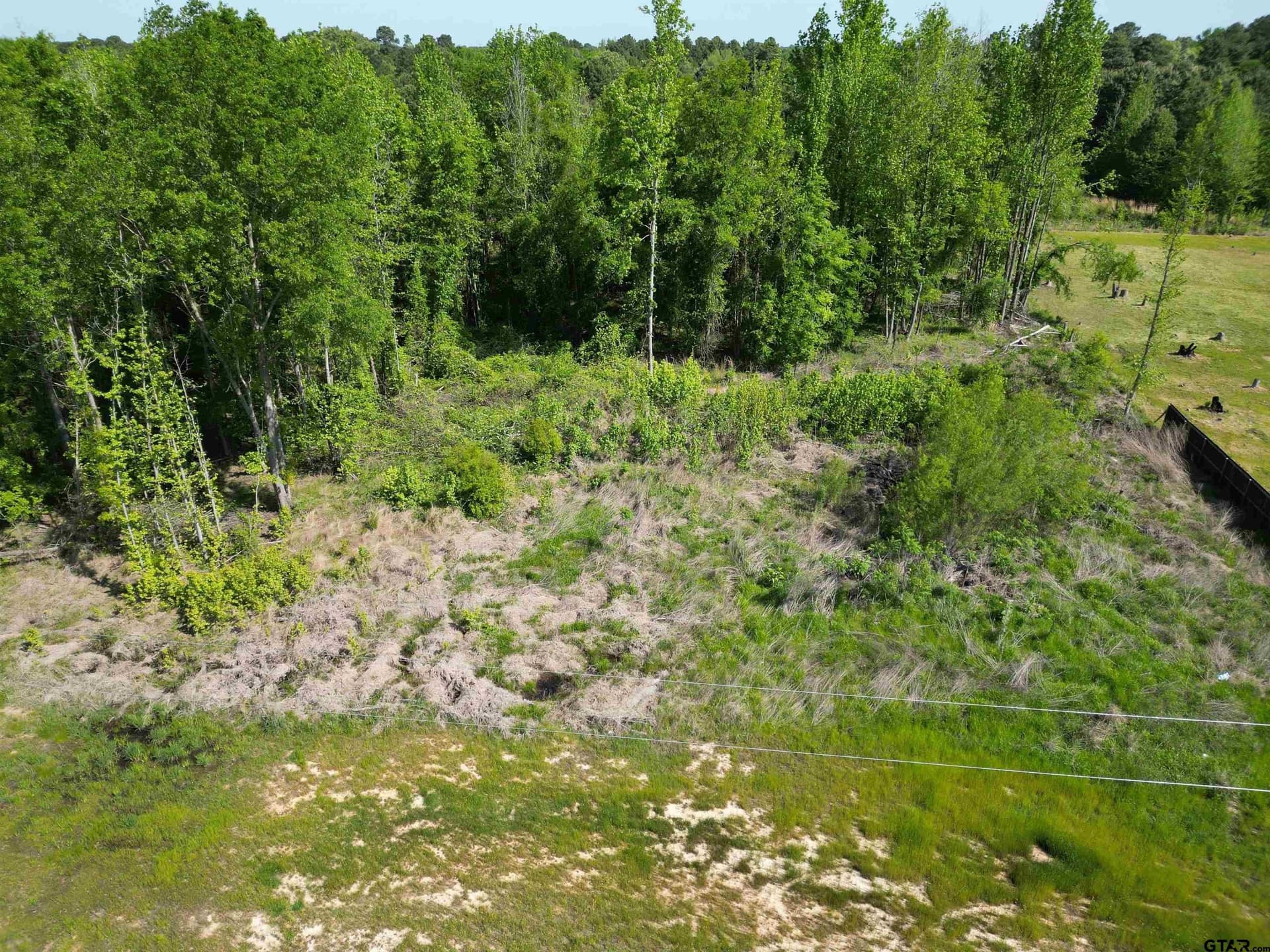 1 acres in Titus County gallery image 3