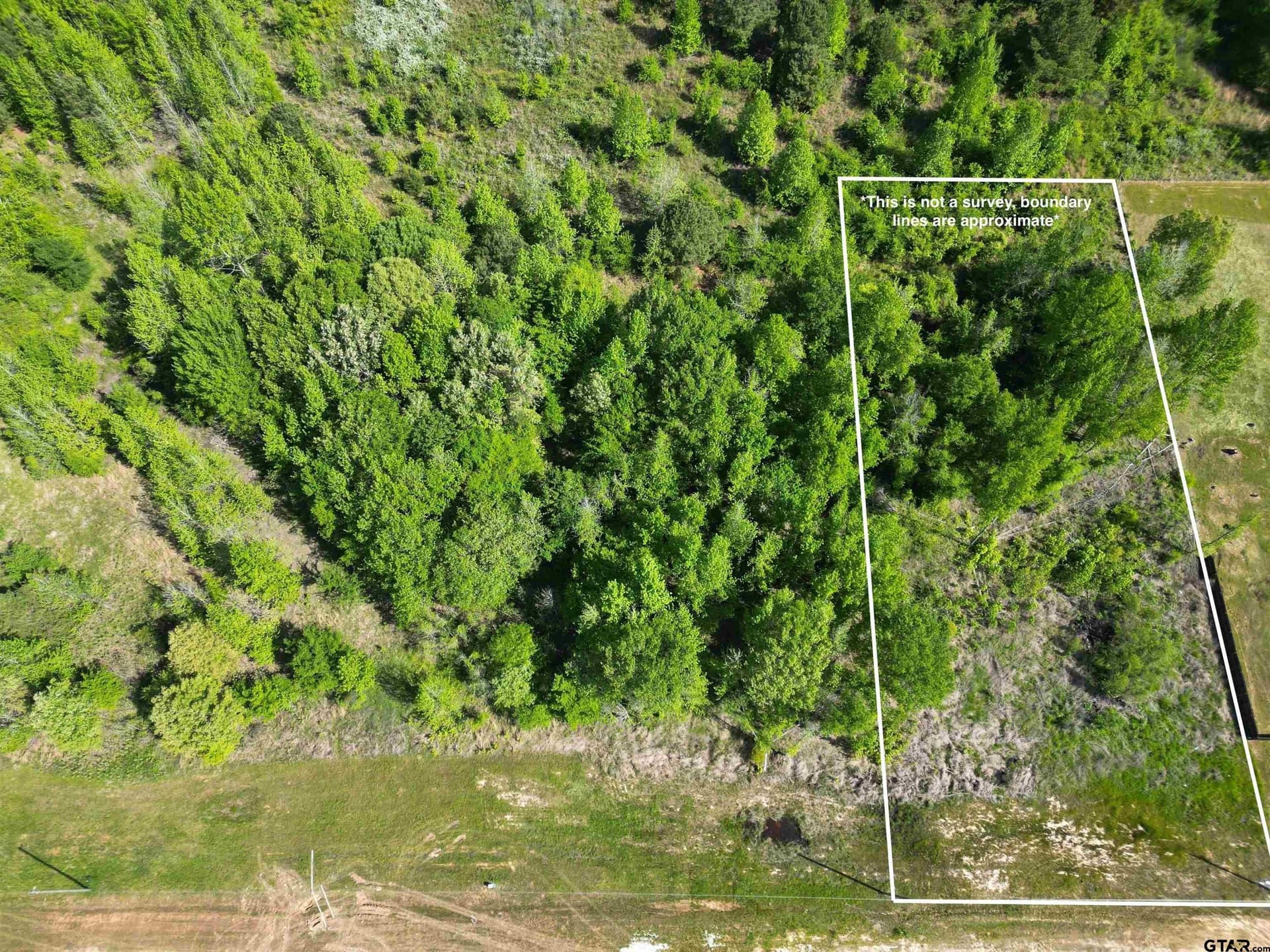 1 acres in Titus County gallery image 2