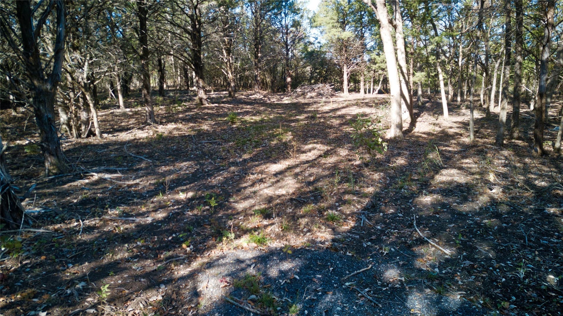 6.74 acres in Fannin County - photo 13