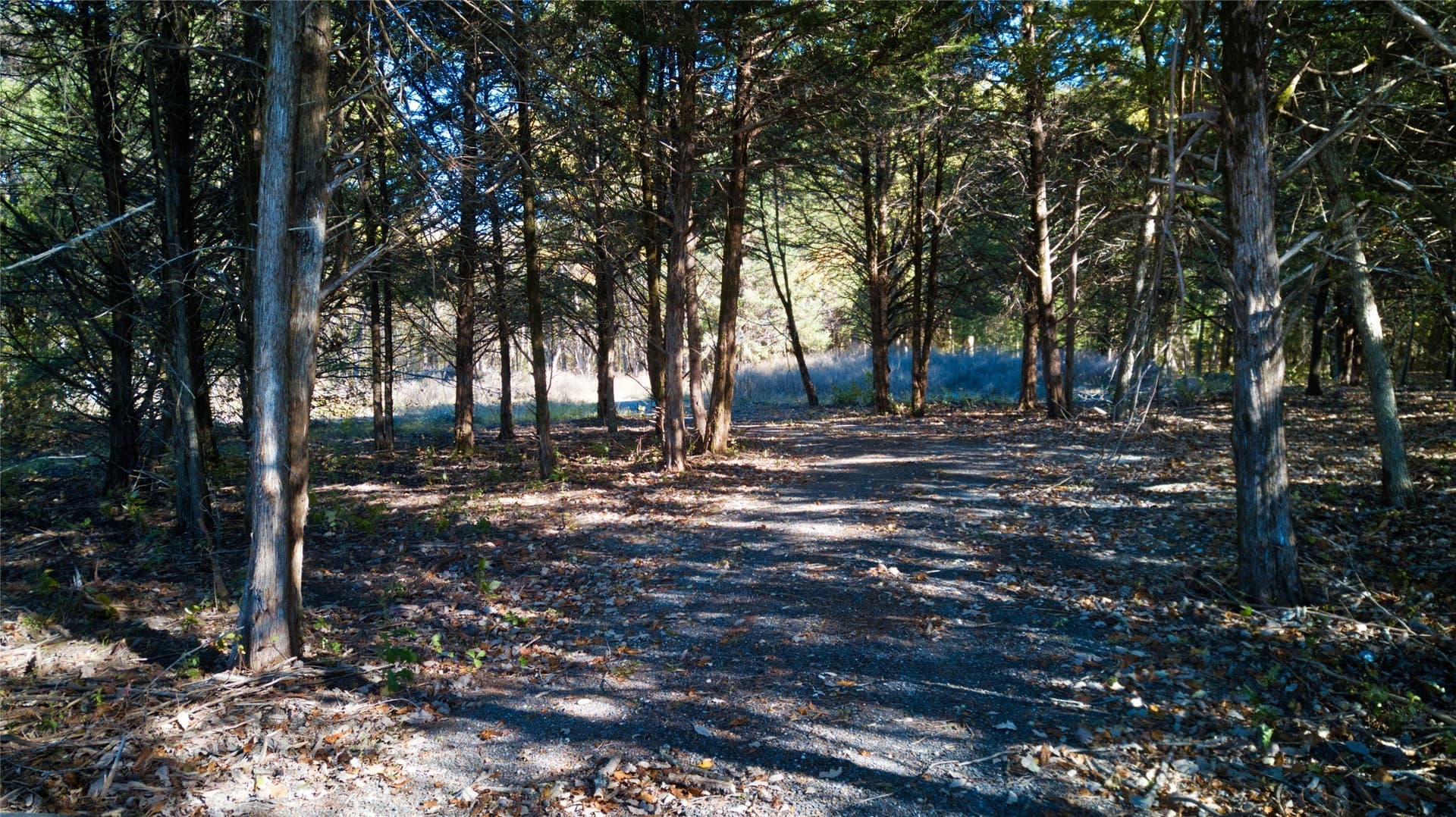 6.74 acres in Fannin County - photo 15