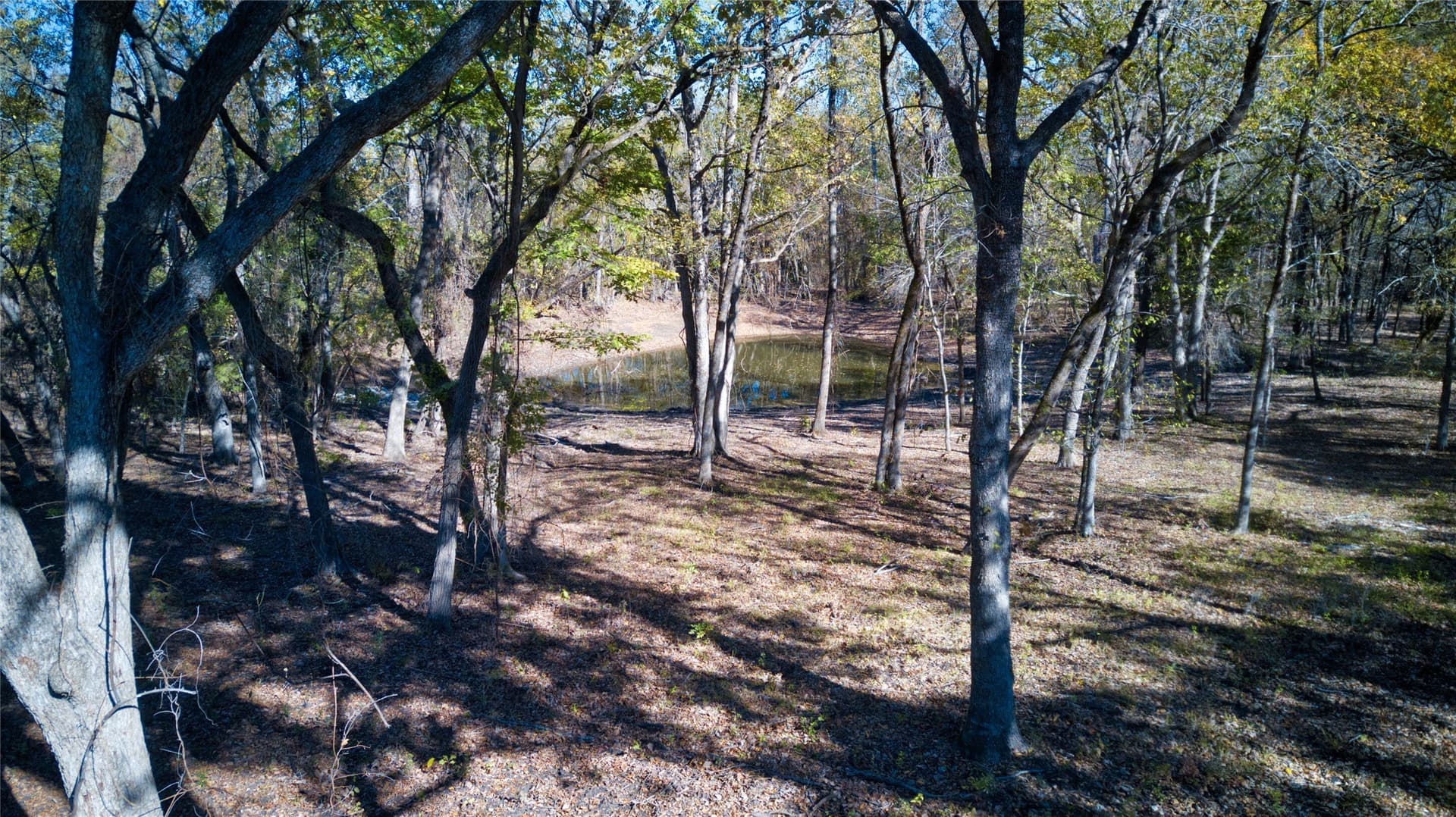 6.74 acres in Fannin County - photo 7