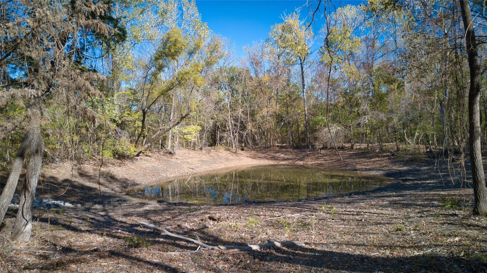 6.74 acres in Fannin County - photo 10