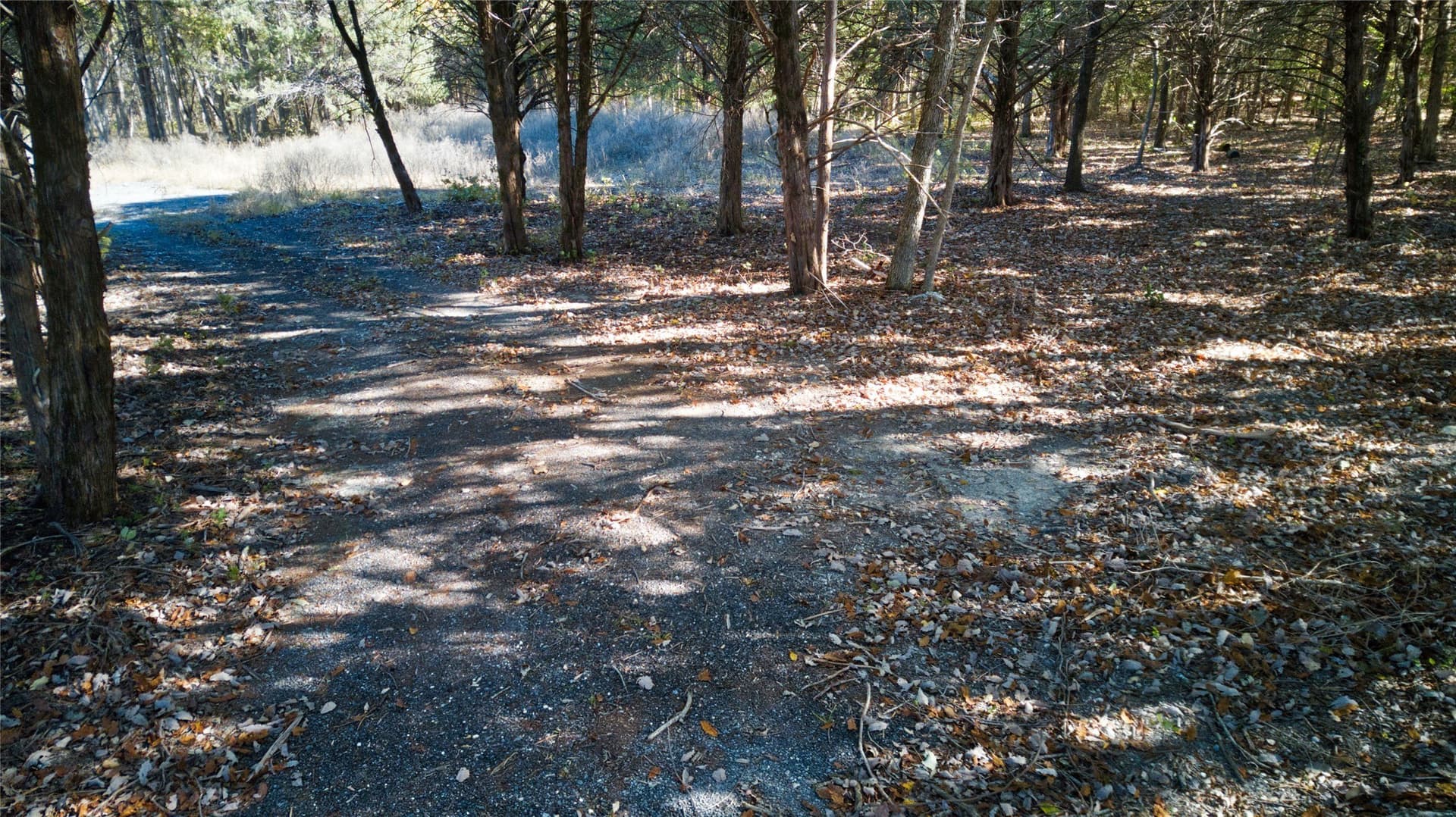 6.74 acres in Fannin County - photo 6