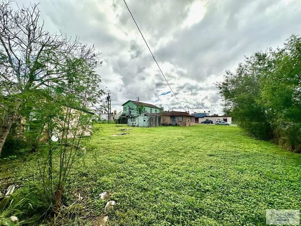 0.5 acres in HIDALGO County - photo 15