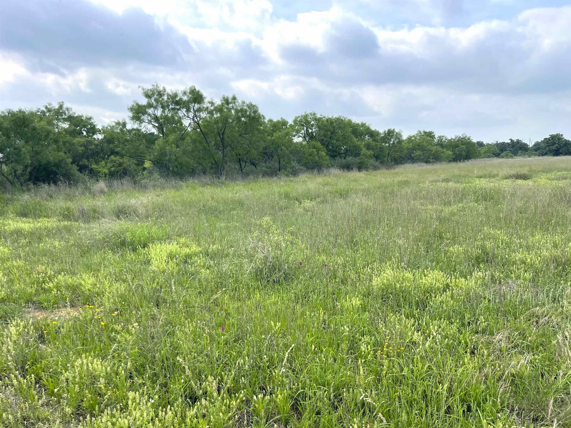17.26 acres in Llano County - photo 15
