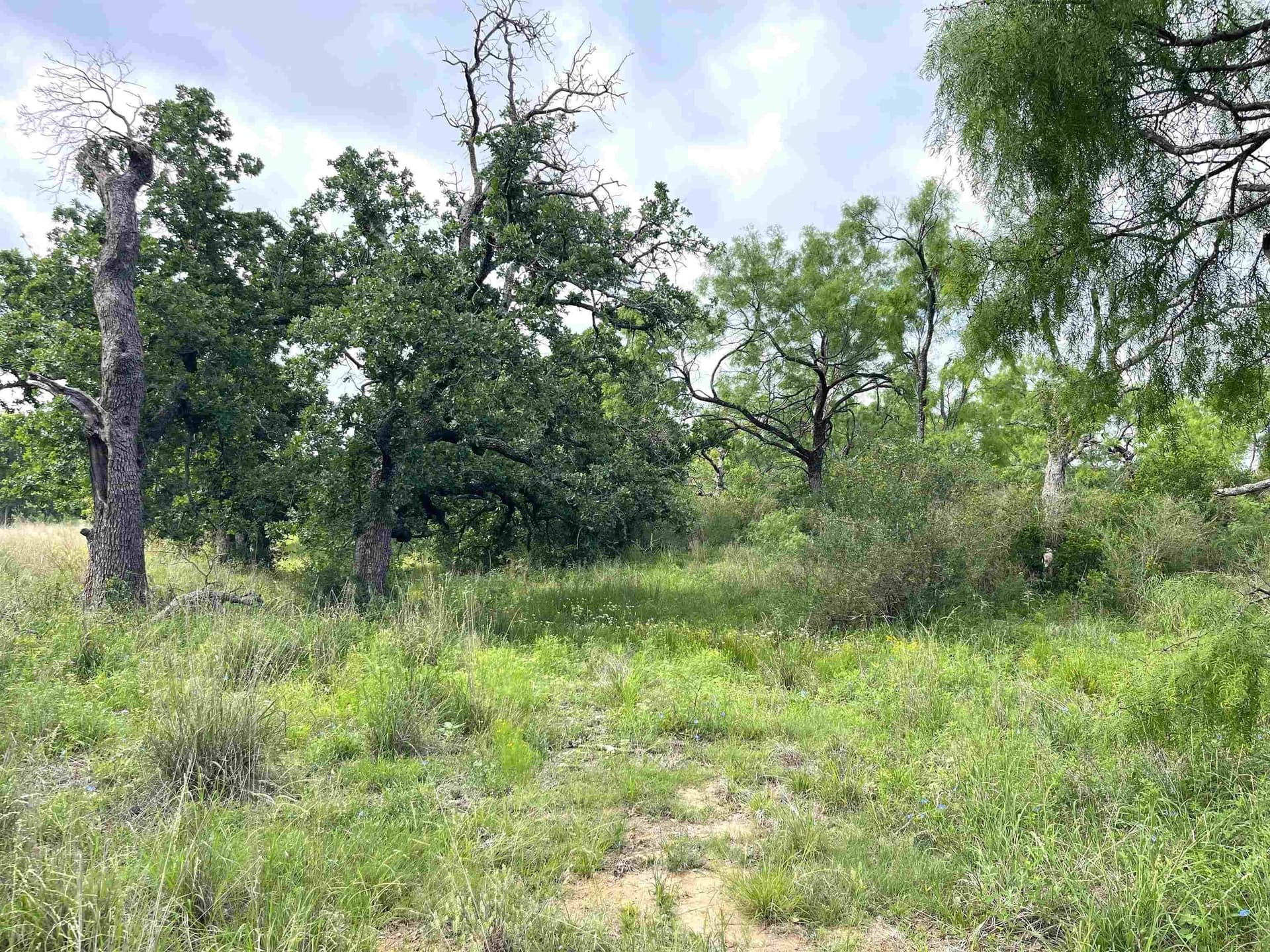 17.26 acres in Llano County - photo 16