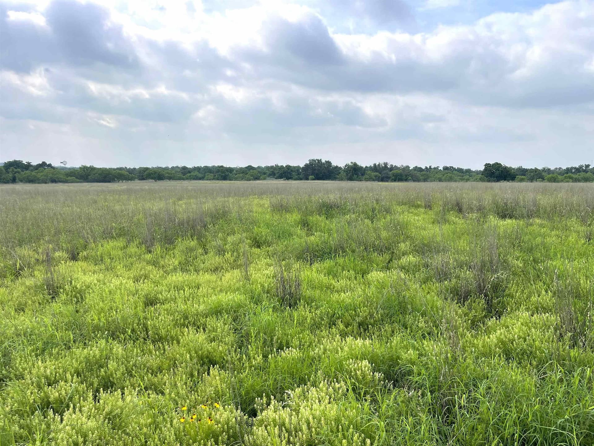 17.26 acres in Llano County - photo 17