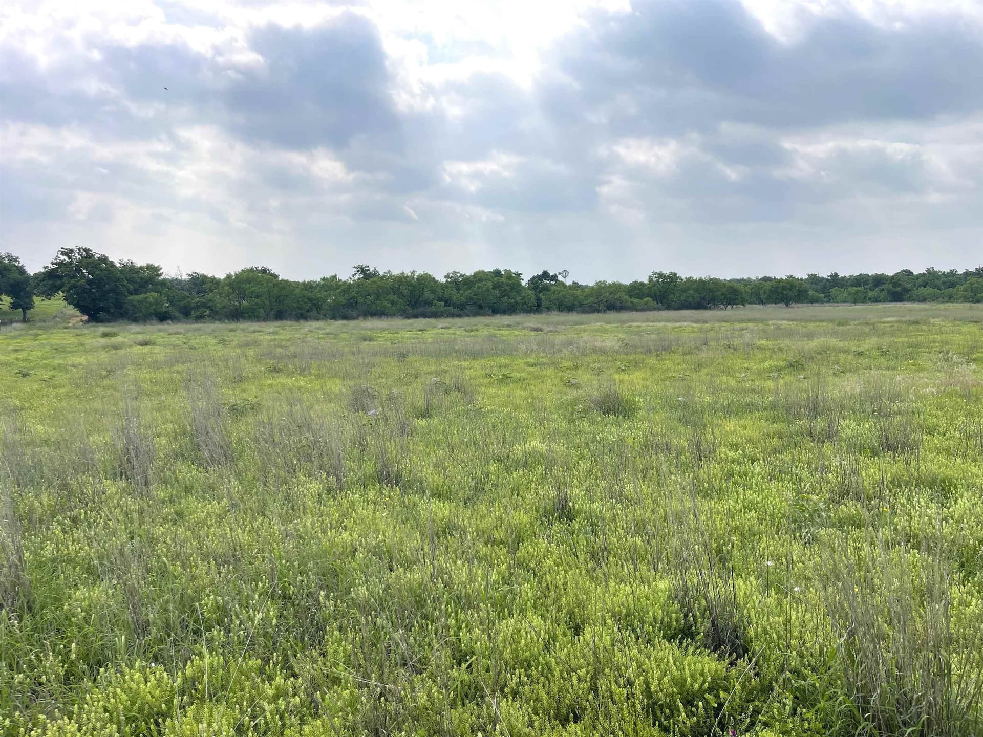 17.26 acres in Llano County - photo 6