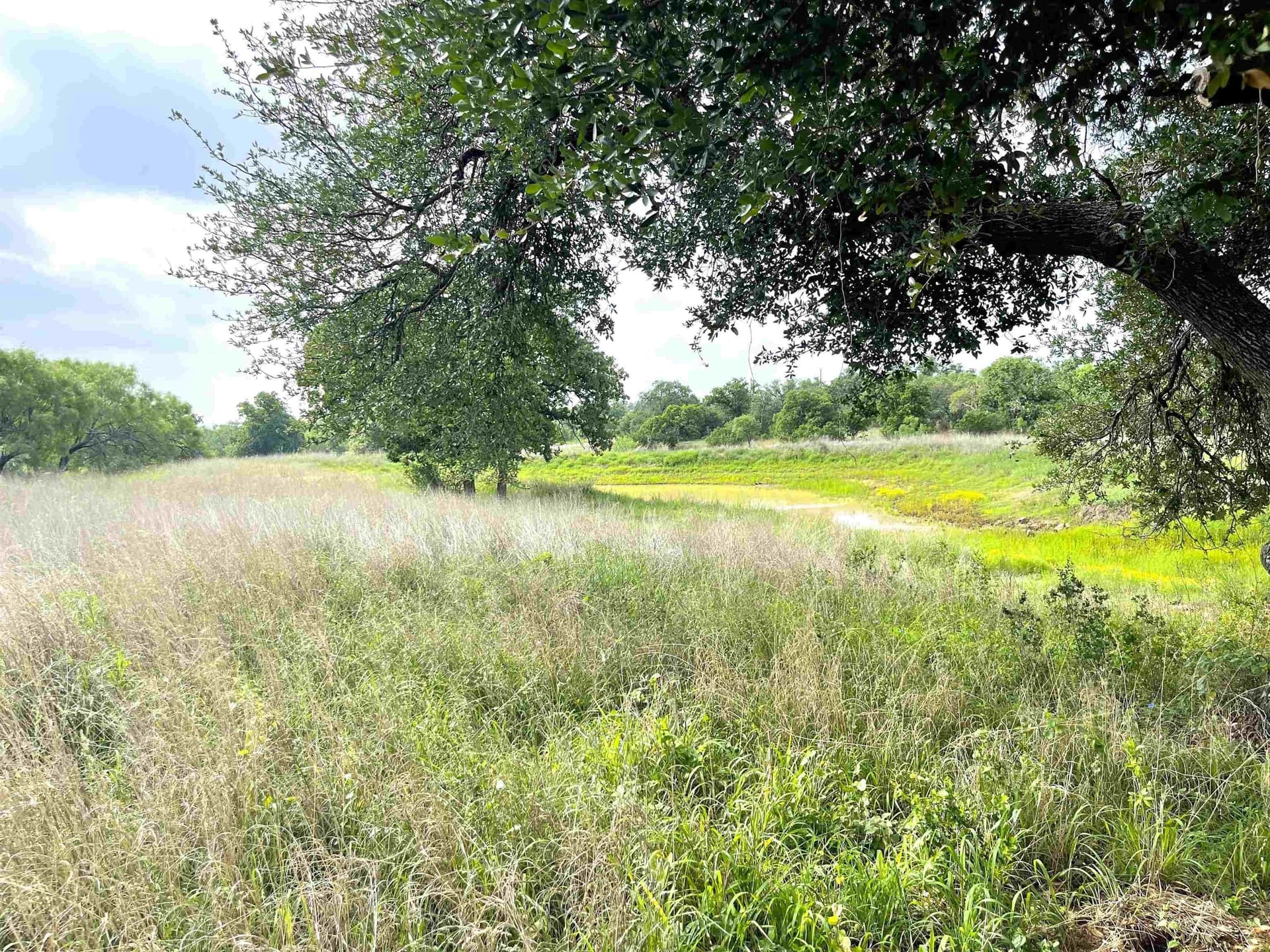 17.26 acres in Llano County gallery image 2
