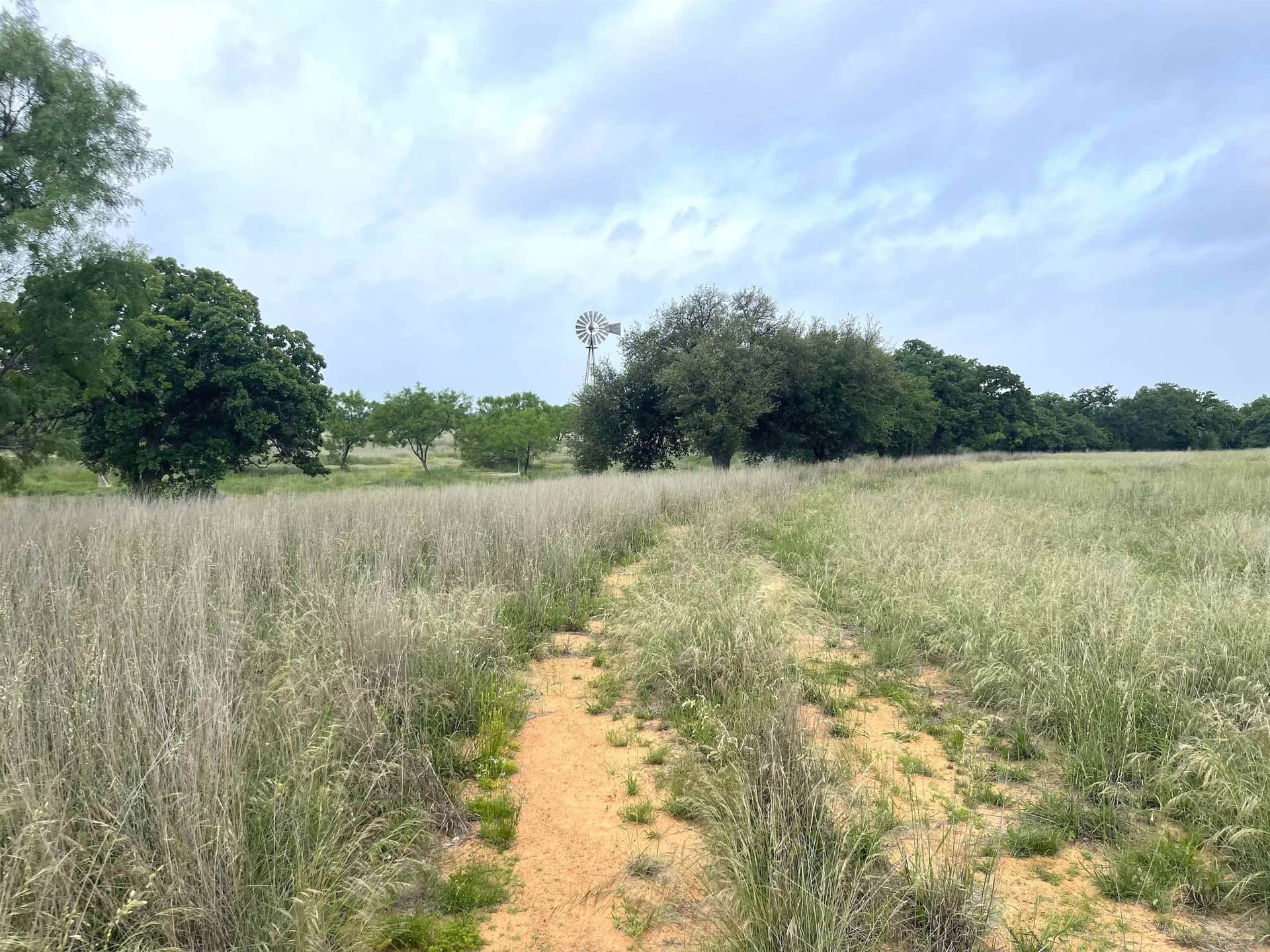 17.26 acres in Llano County - photo 10