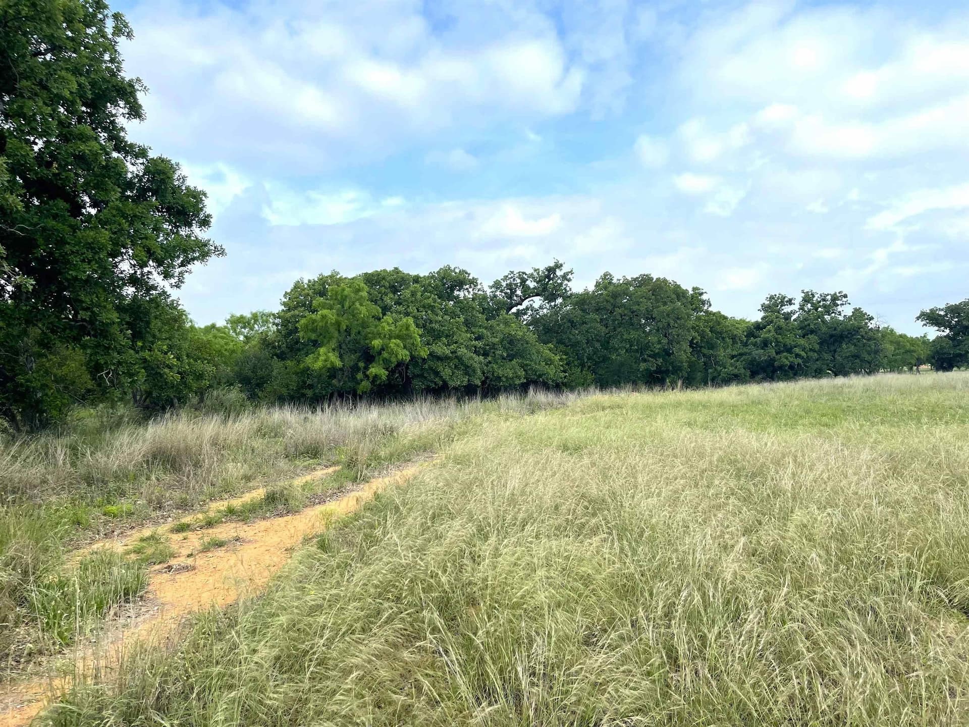 17.26 acres in Llano County - photo 12