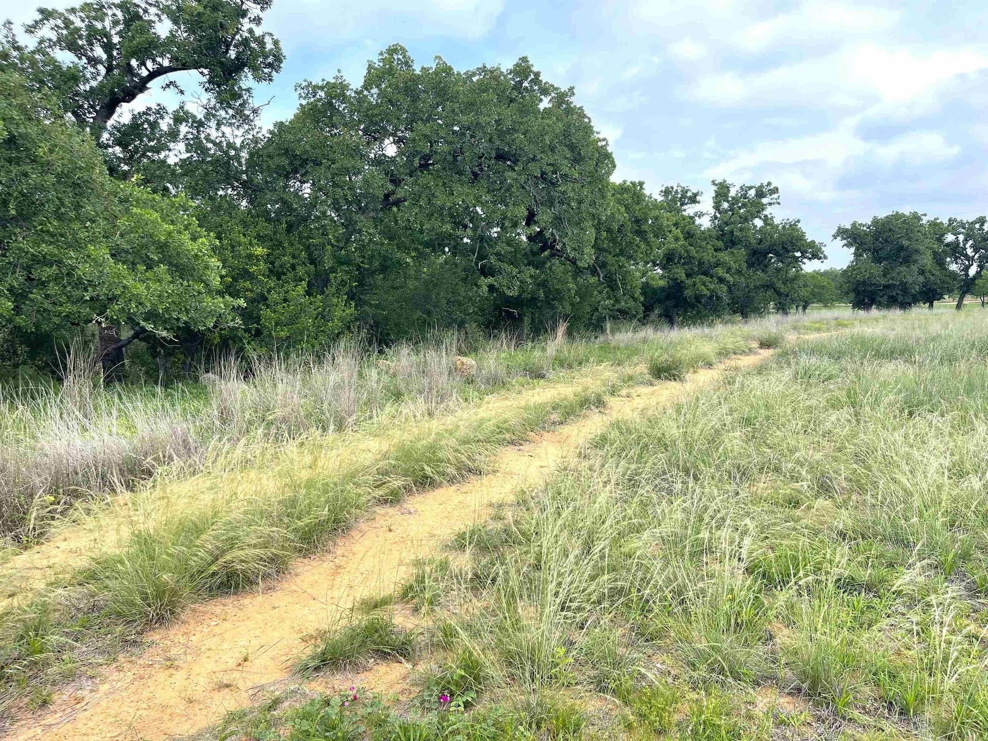 17.26 acres in Llano County - photo 14