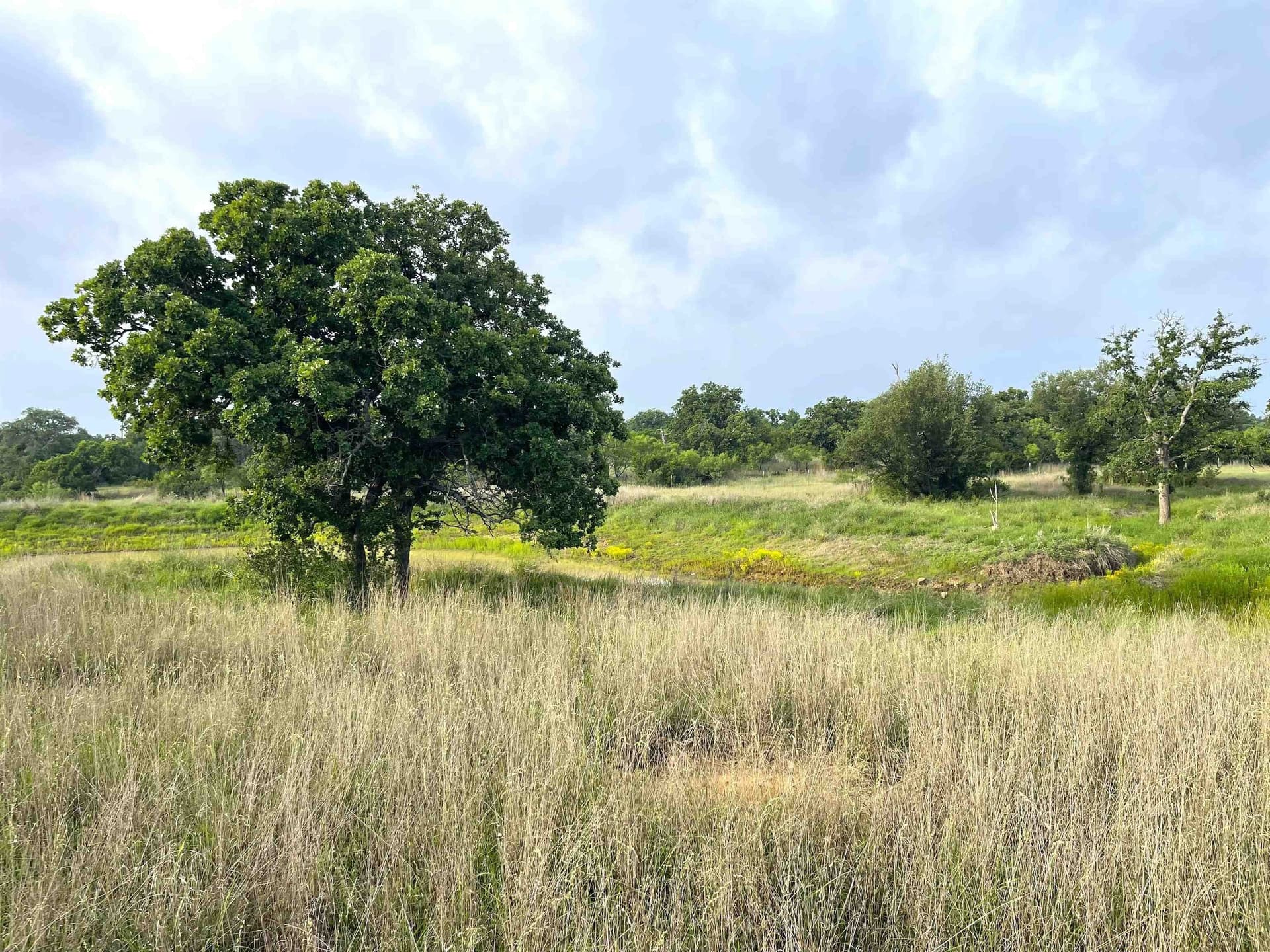 17.26 acres in Llano County gallery image 4