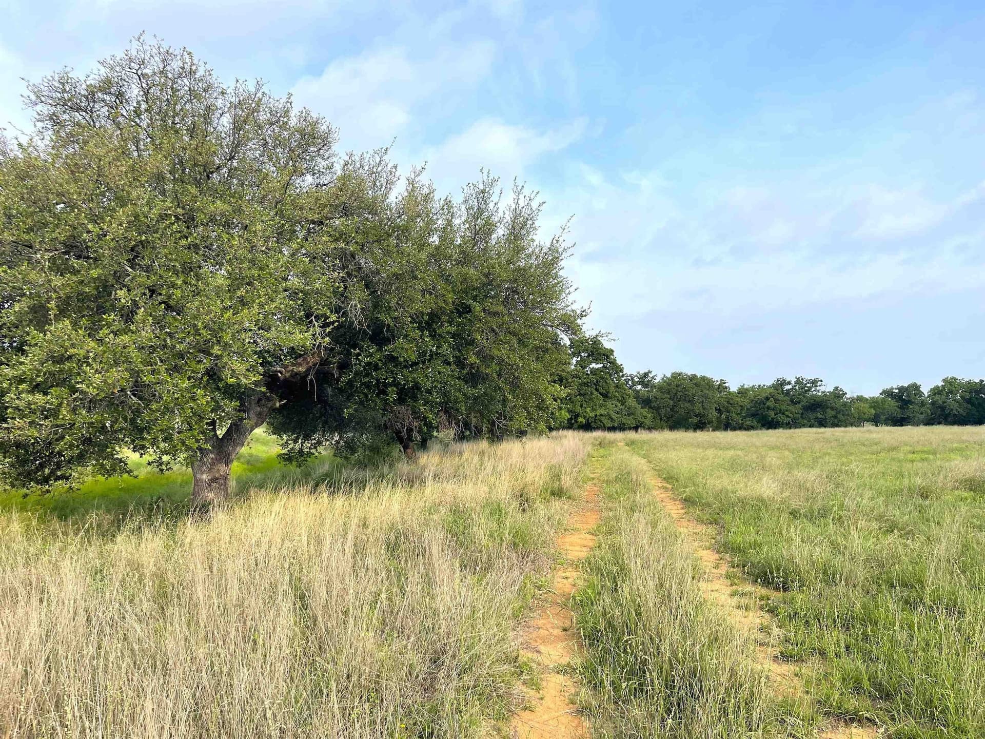 17.26 acres in Llano County - photo 7