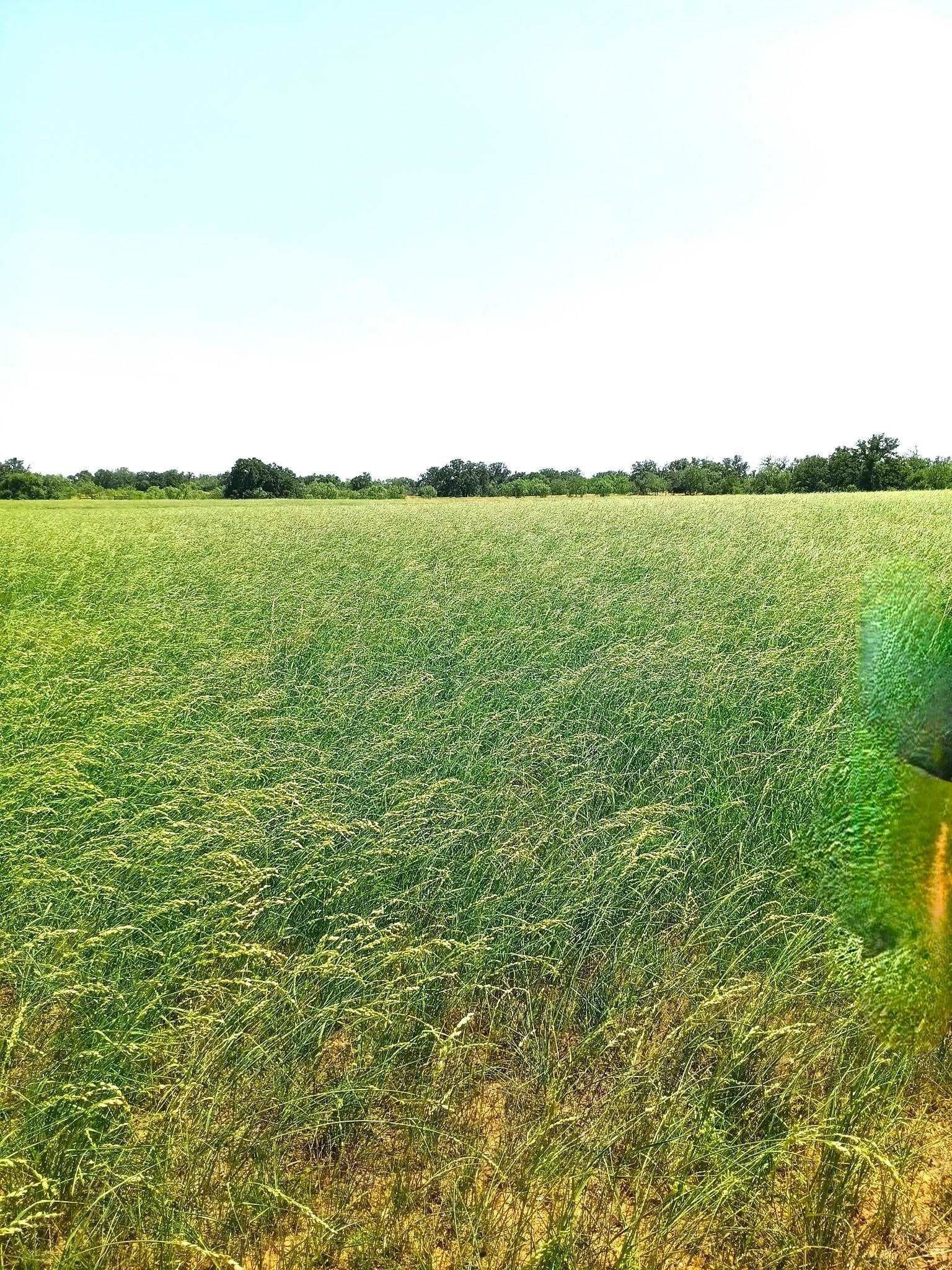 17.26 acres in Llano County - photo 18