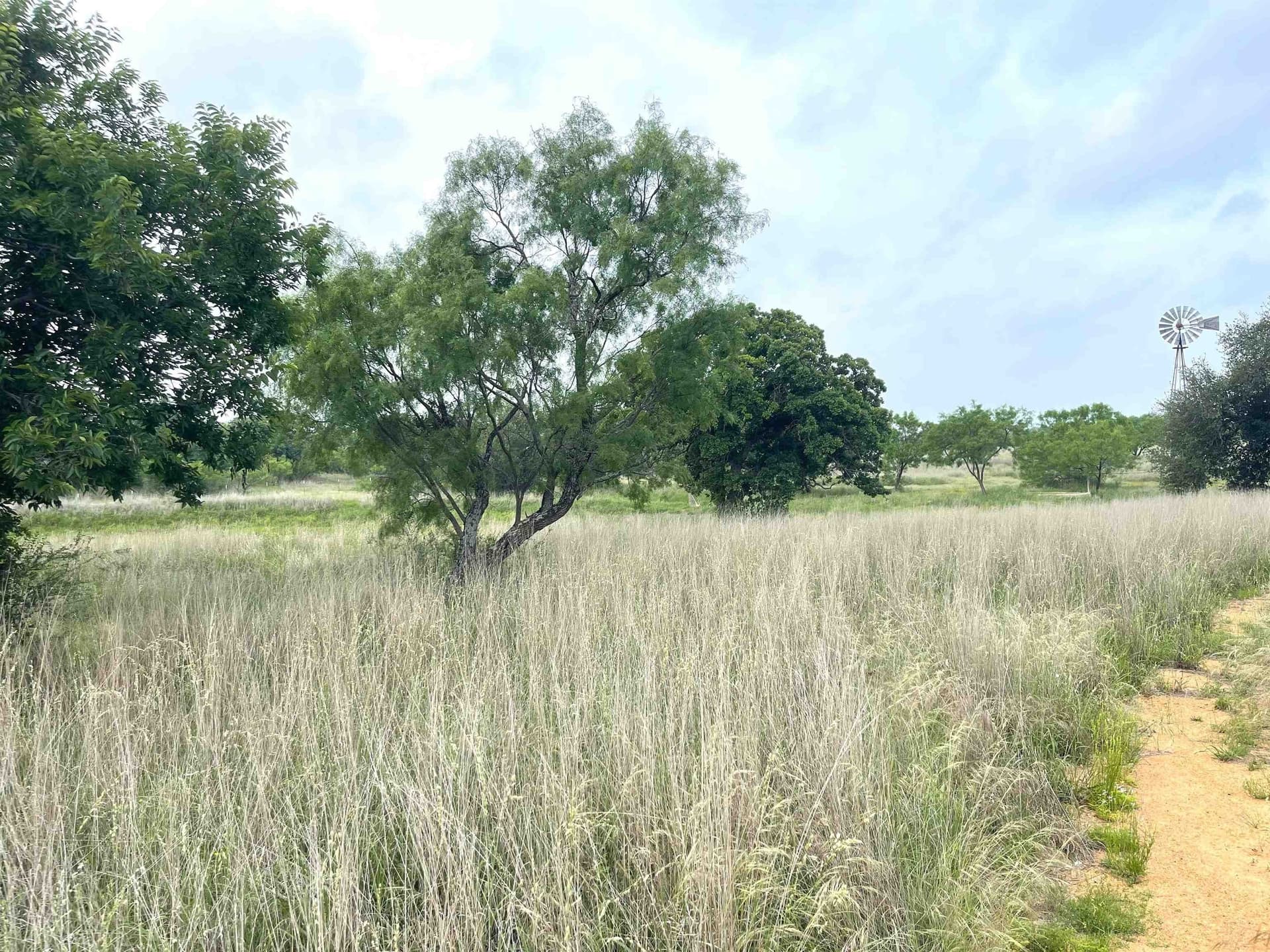 17.26 acres in Llano County - photo 9
