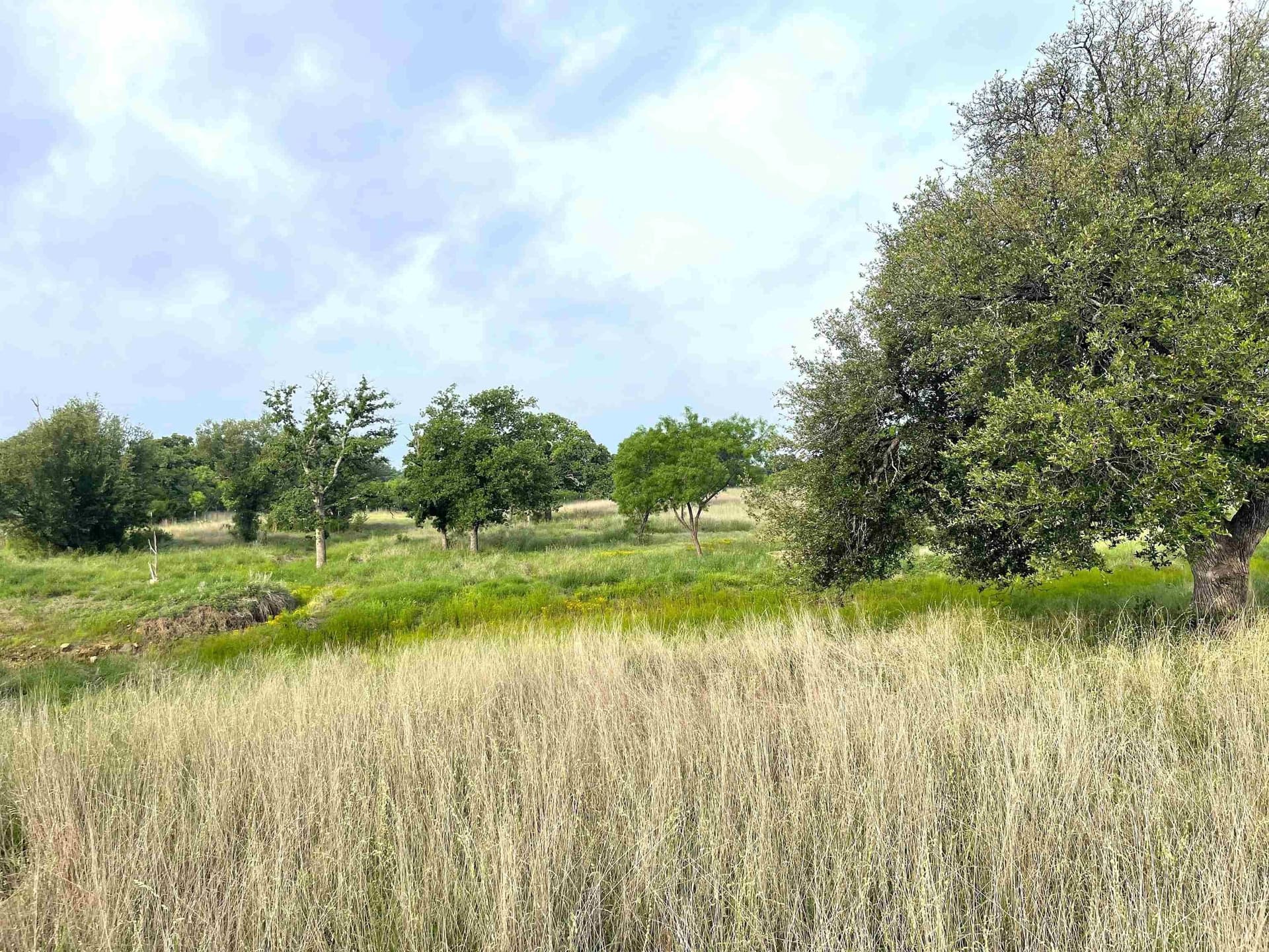 17.26 acres in Llano County featured view