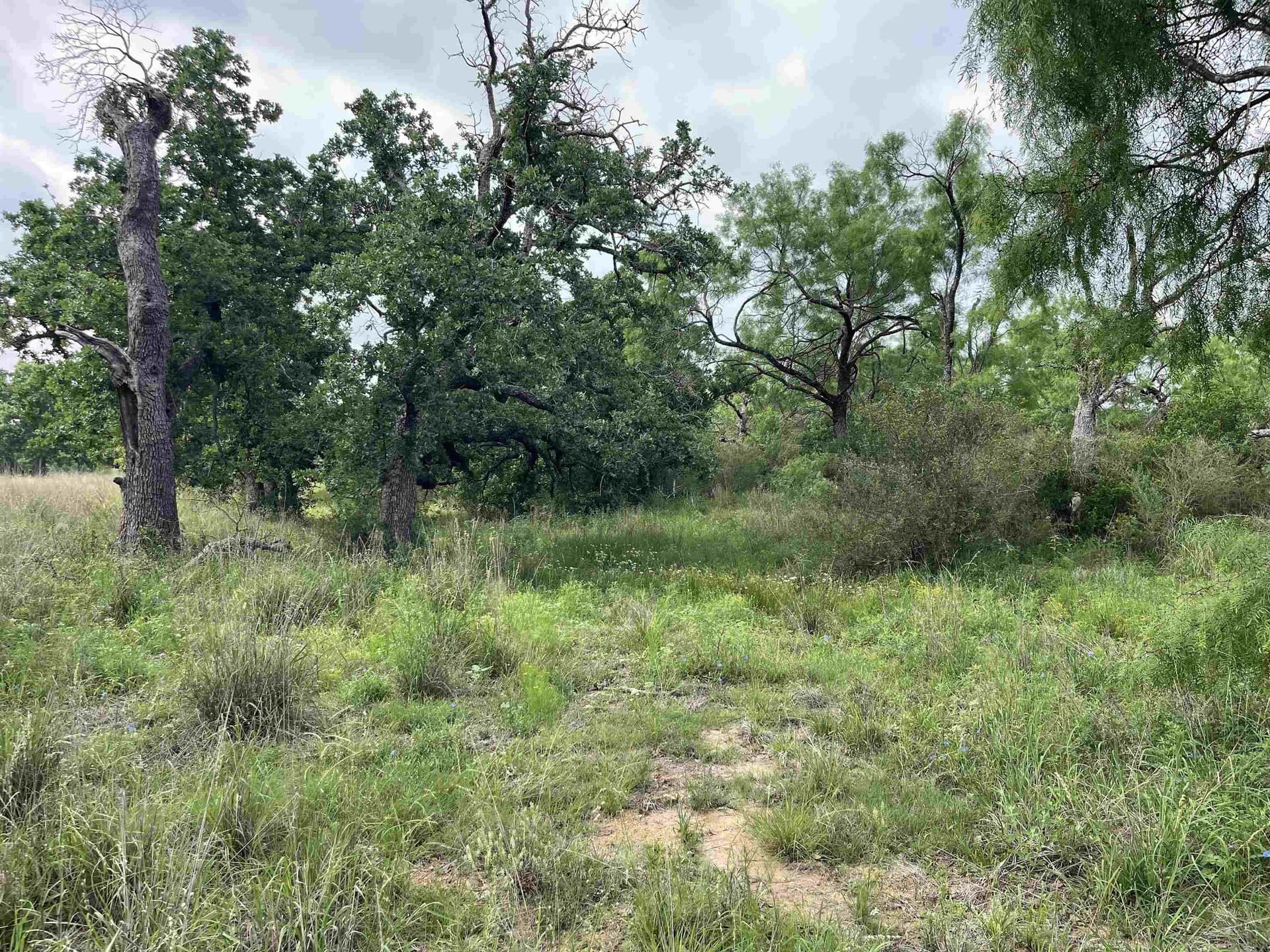 17.26 acres in Llano County - photo 11