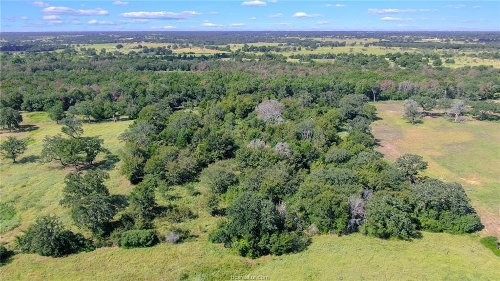 5.74 acres in Burleson County gallery image 3