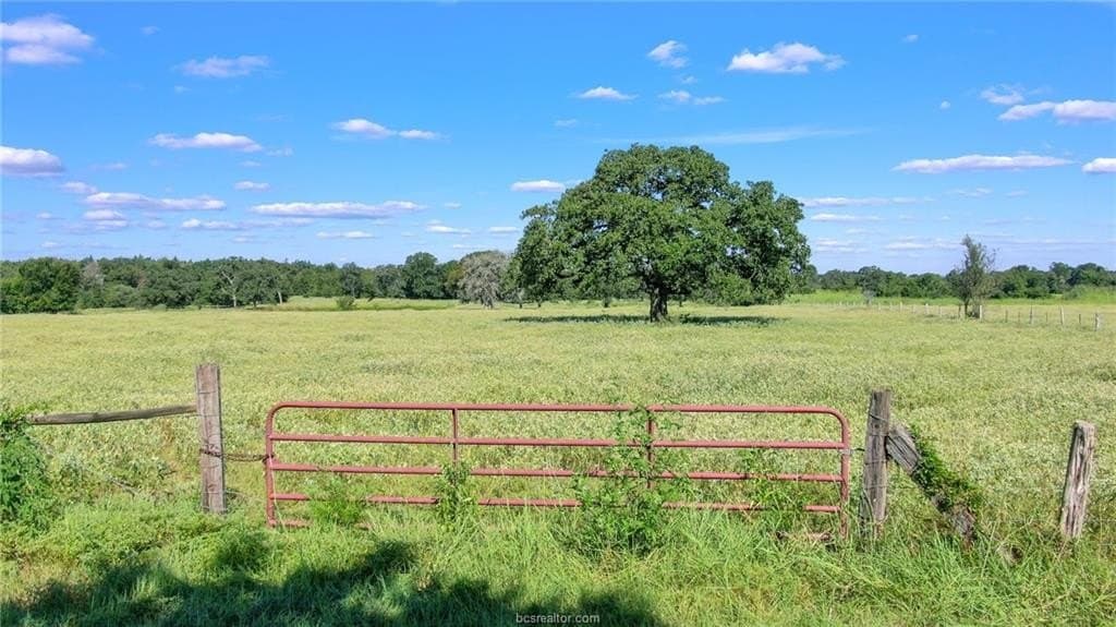5.74 acres in Burleson County gallery image 2