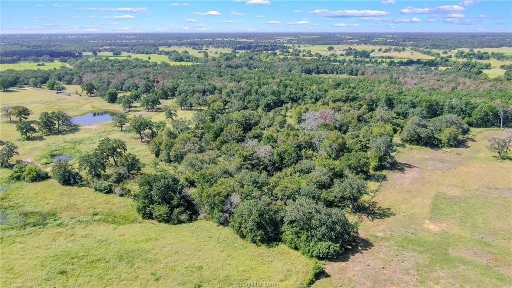 5.74 acres in Burleson County gallery image 4