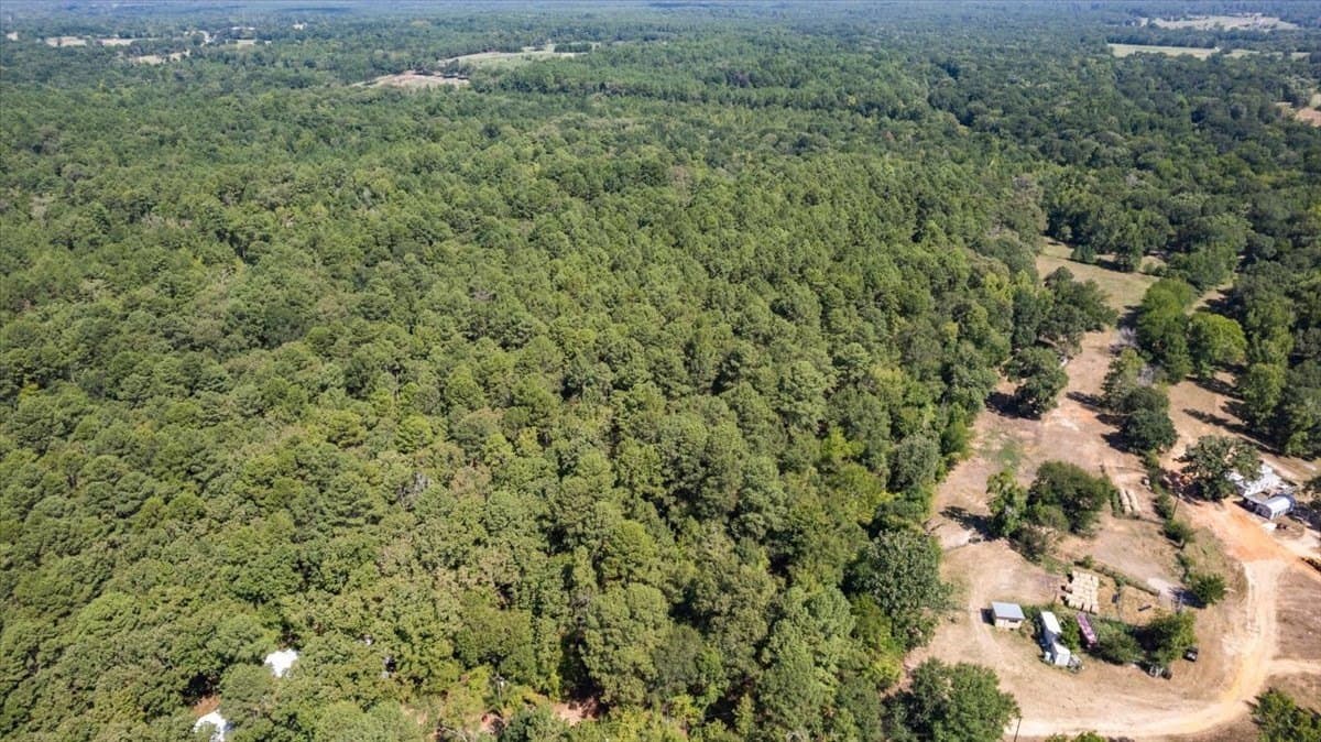 29.96 acres in Wood County - photo 40