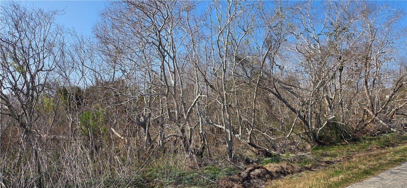 2.66 acres in Aransas County - photo 6