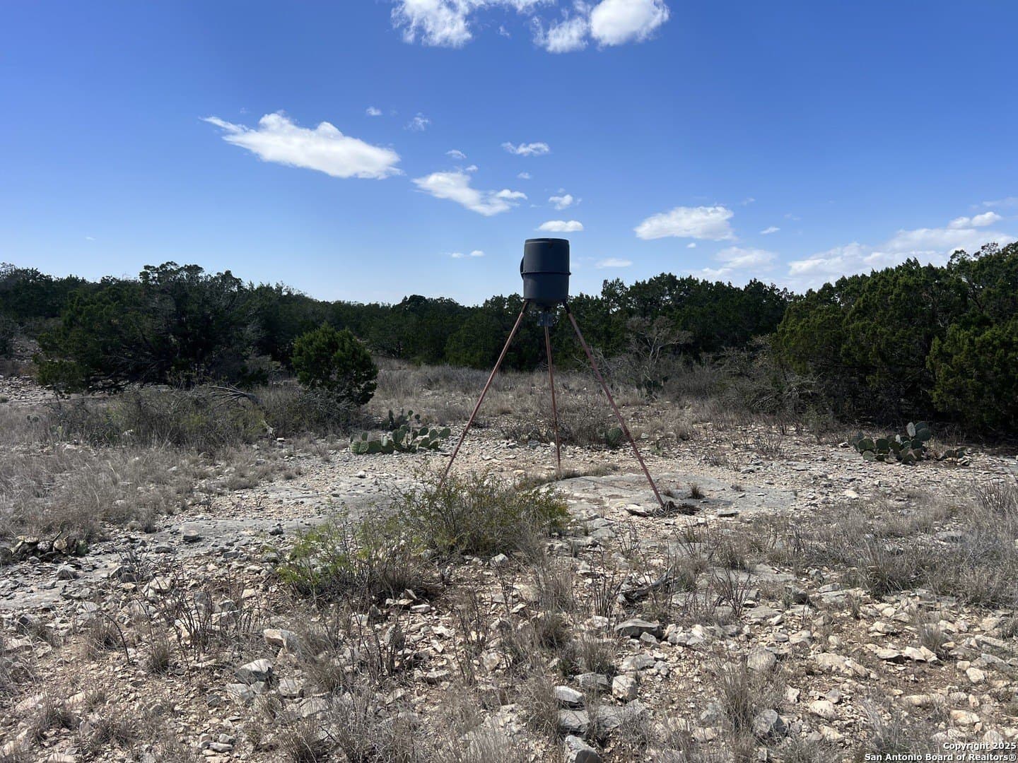 63.77 acres in Kinney County - photo 17