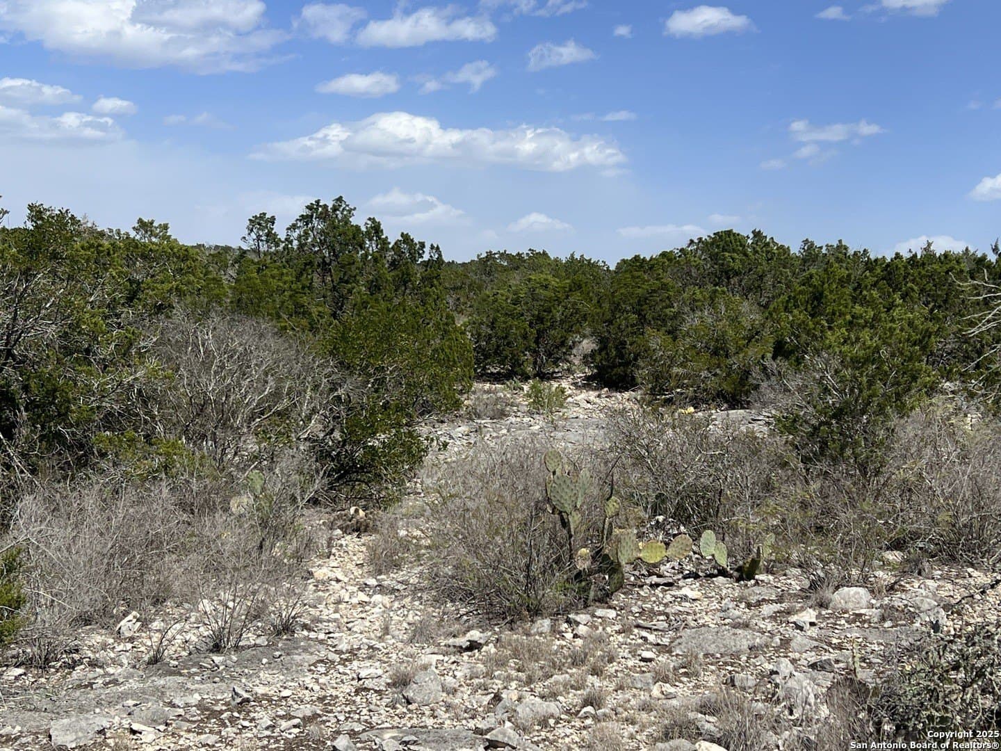 63.77 acres in Kinney County - photo 20