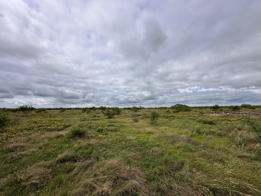 653.54 acres in Schleicher County gallery image 3
