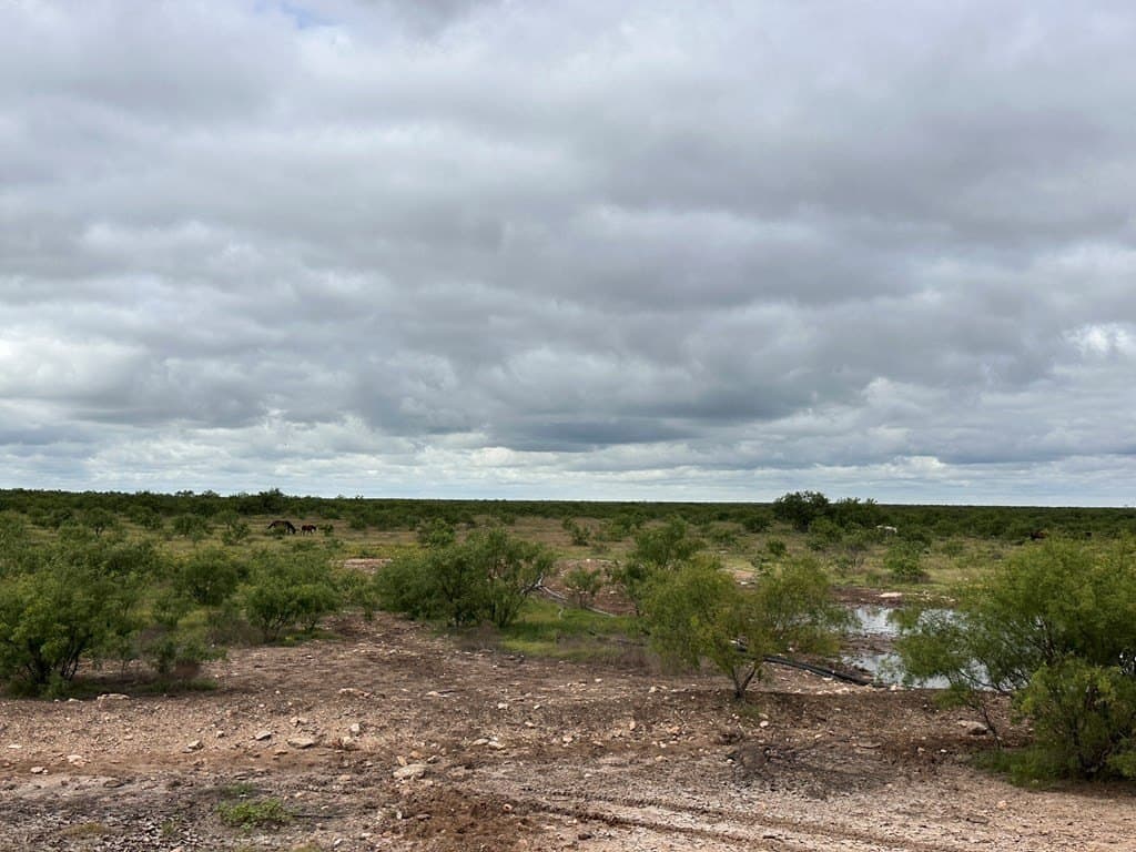 653.54 acres in Schleicher County - photo 9