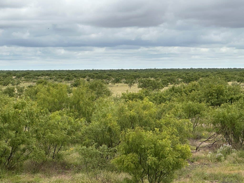 653.54 acres in Schleicher County - photo 12