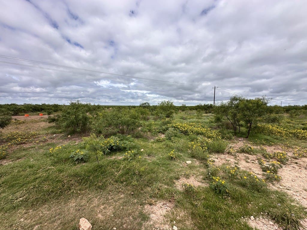 653.54 acres in Schleicher County gallery image 4