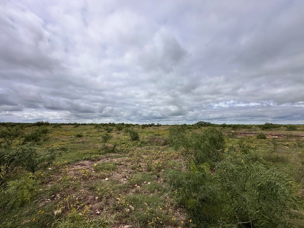 653.54 acres in Schleicher County - photo 8