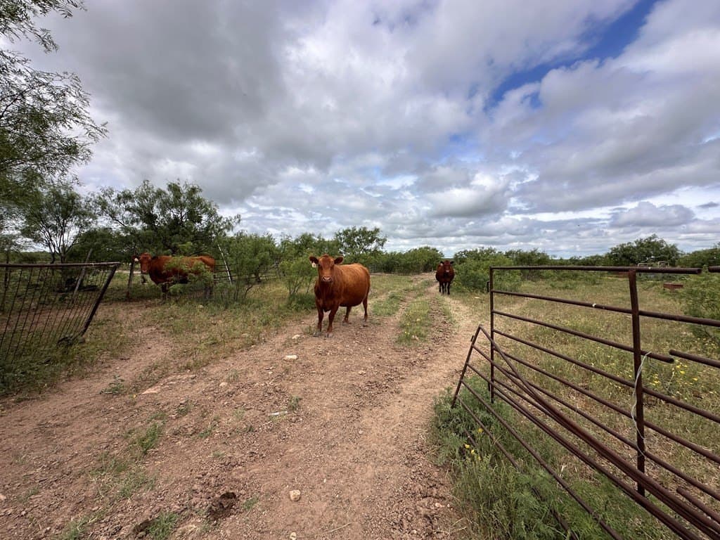 653.54 acres in Schleicher County - photo 7