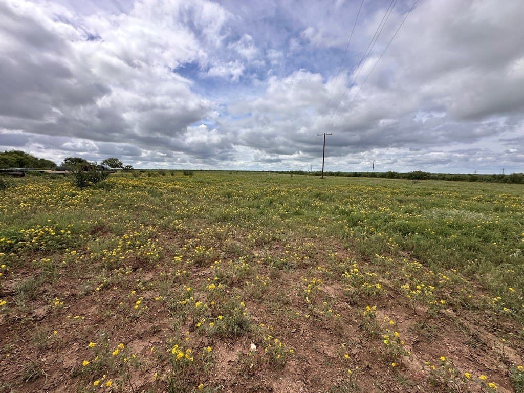 653.54 acres in Schleicher County - photo 14