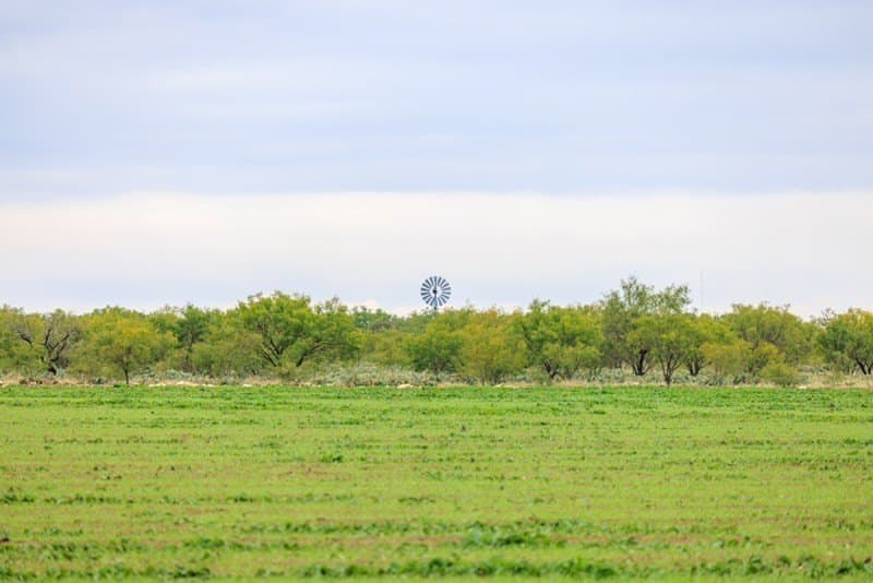 653.54 acres in Schleicher County - photo 20