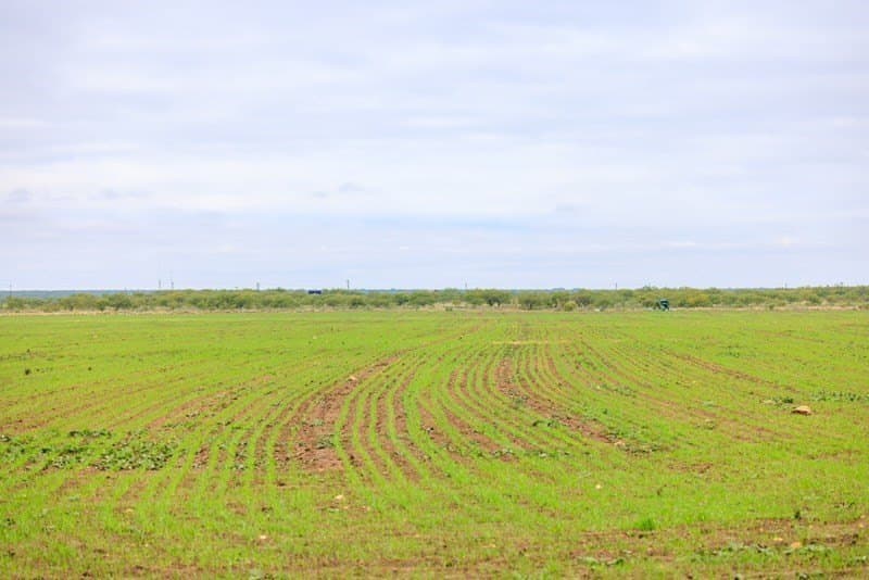 653.54 acres in Schleicher County - photo 23